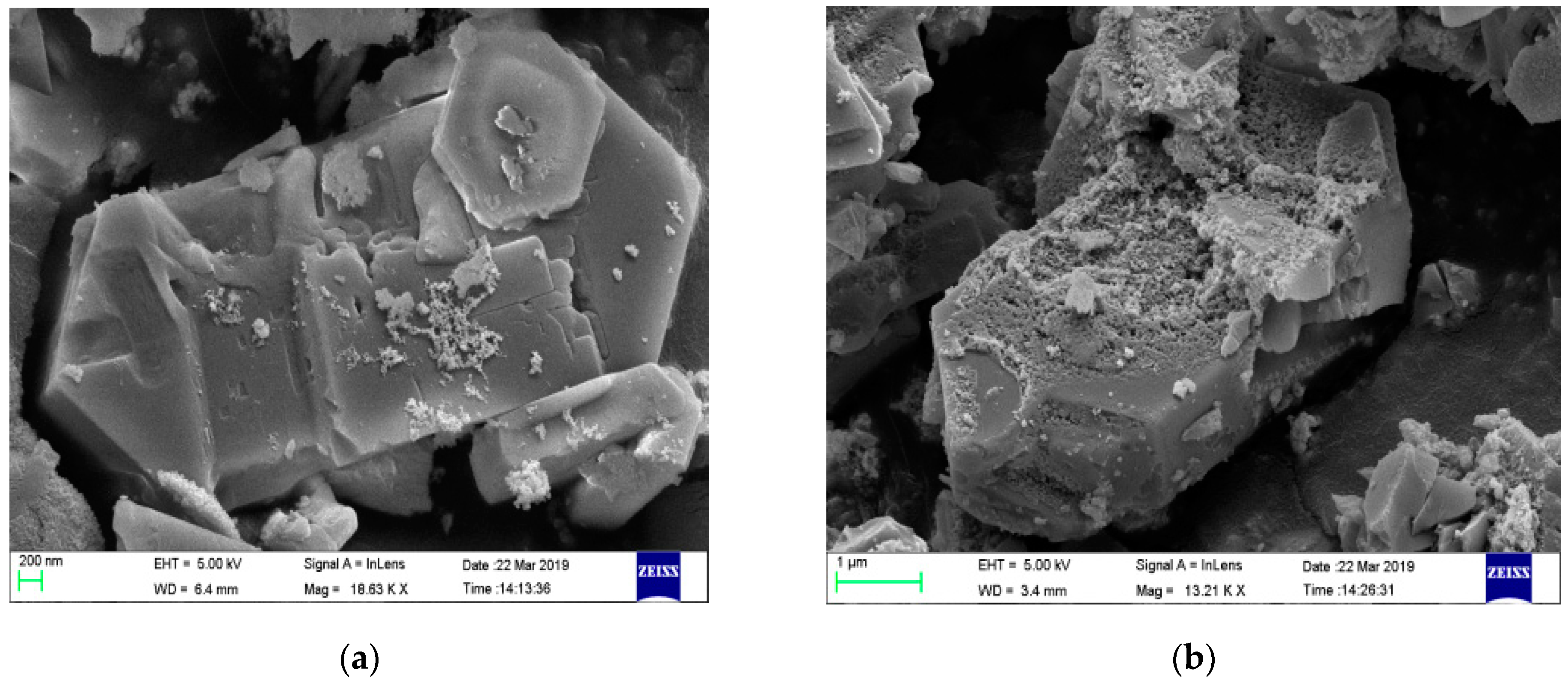 Catalysts 10 00311 g002 Catalysts 10 00311 g002