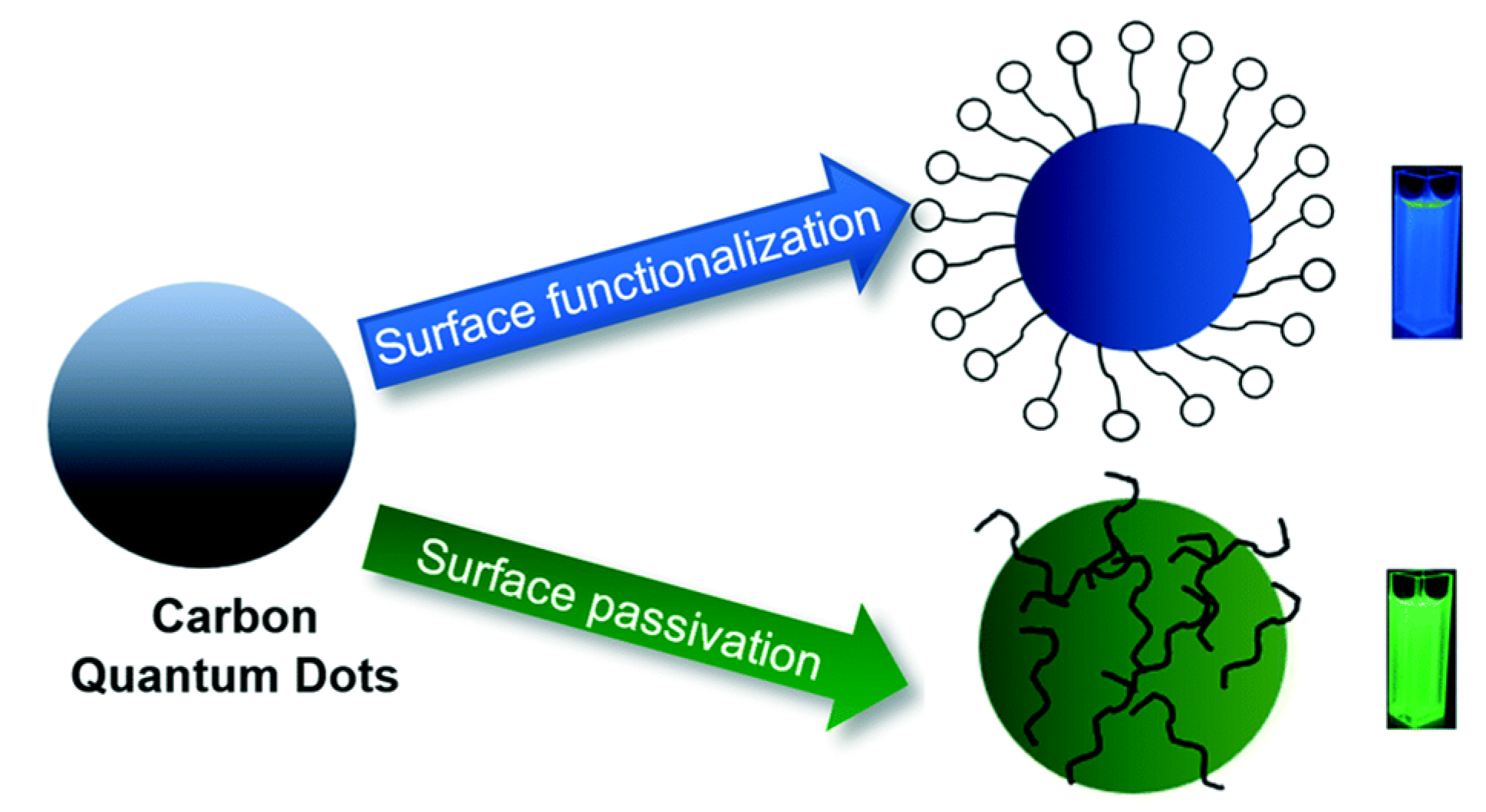 Catalysts 10 00320 g004