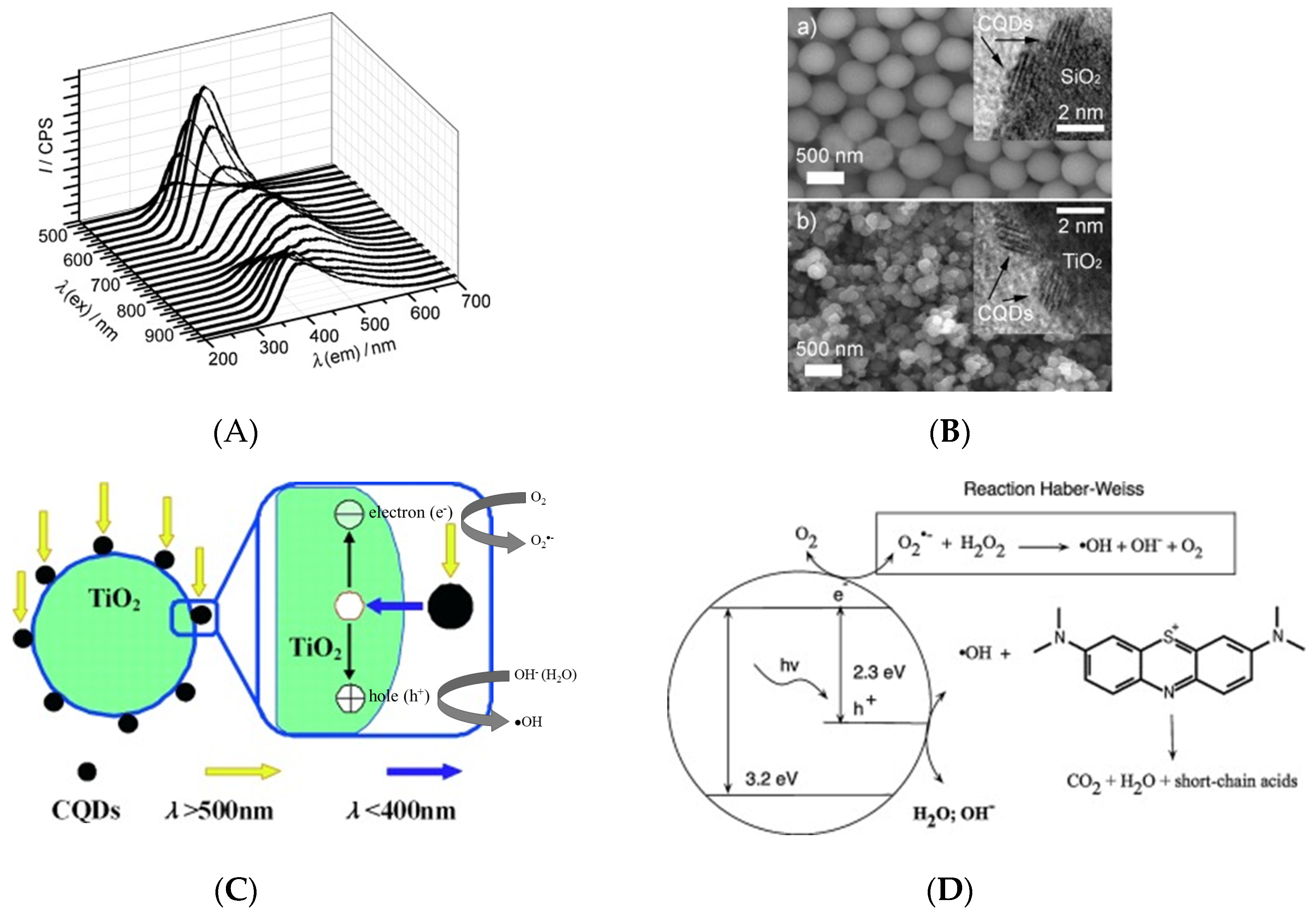 Catalysts 10 00320 g006