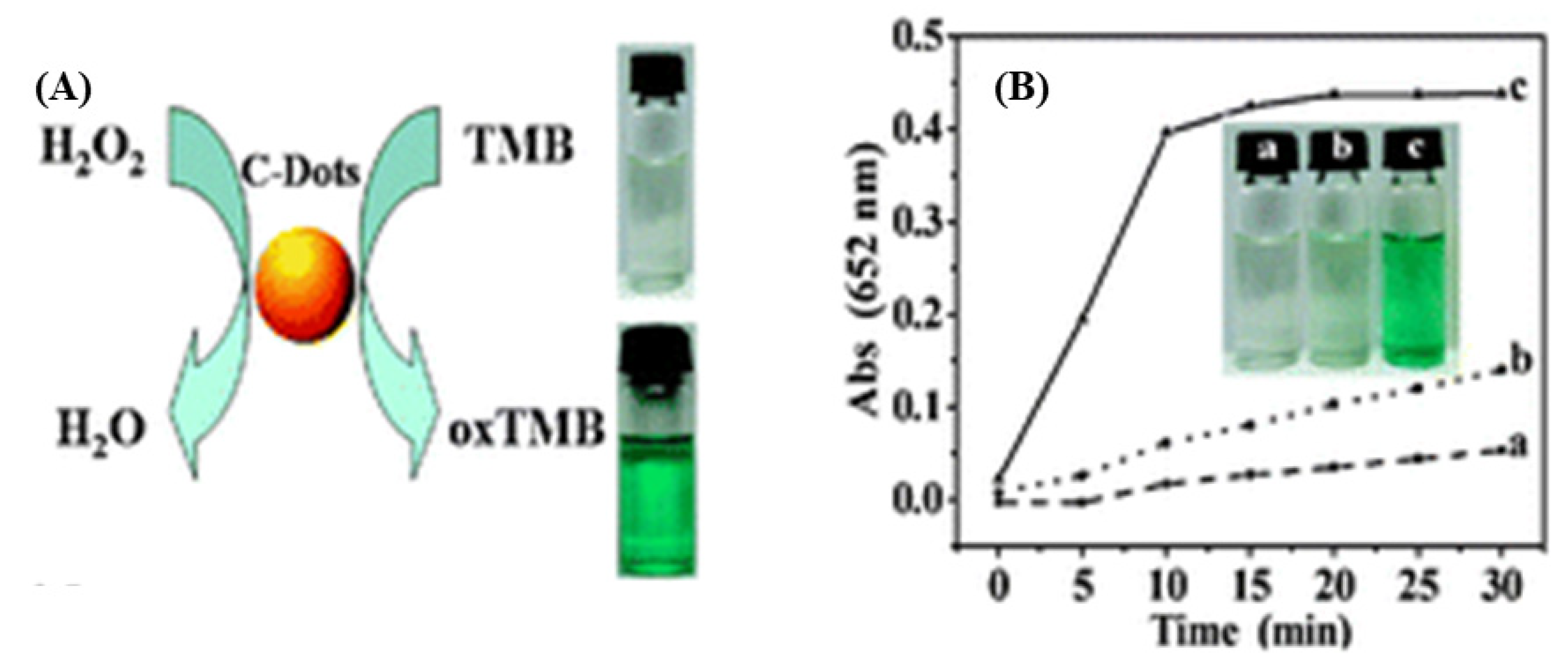 Catalysts 10 00320 g009