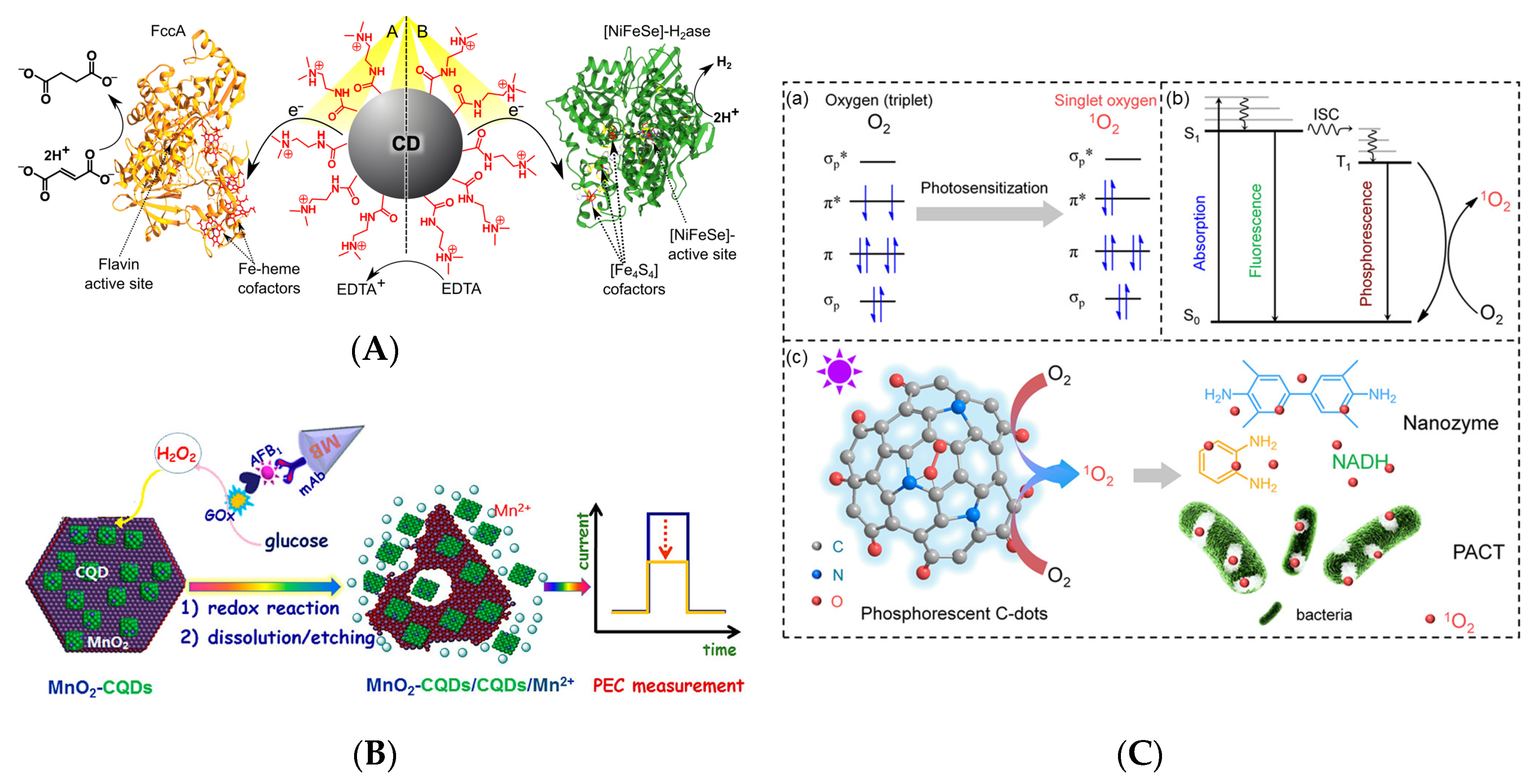 Catalysts 10 00320 g010