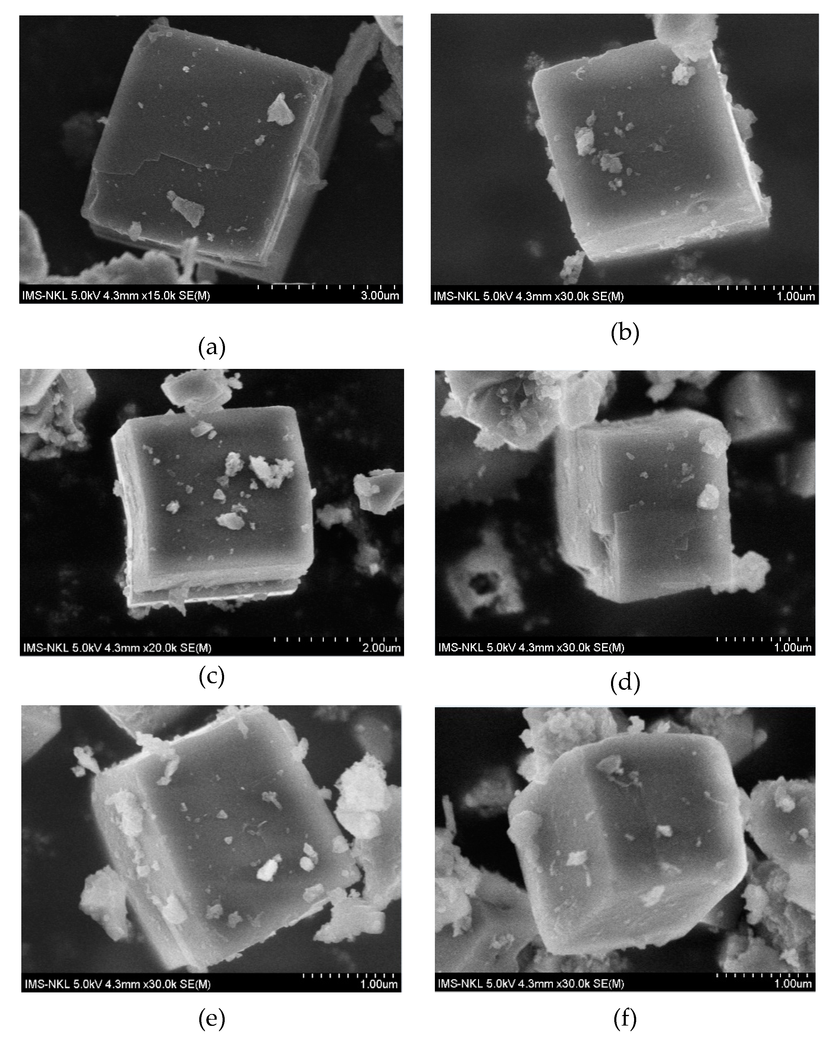 Catalysts 10 00321 g003a