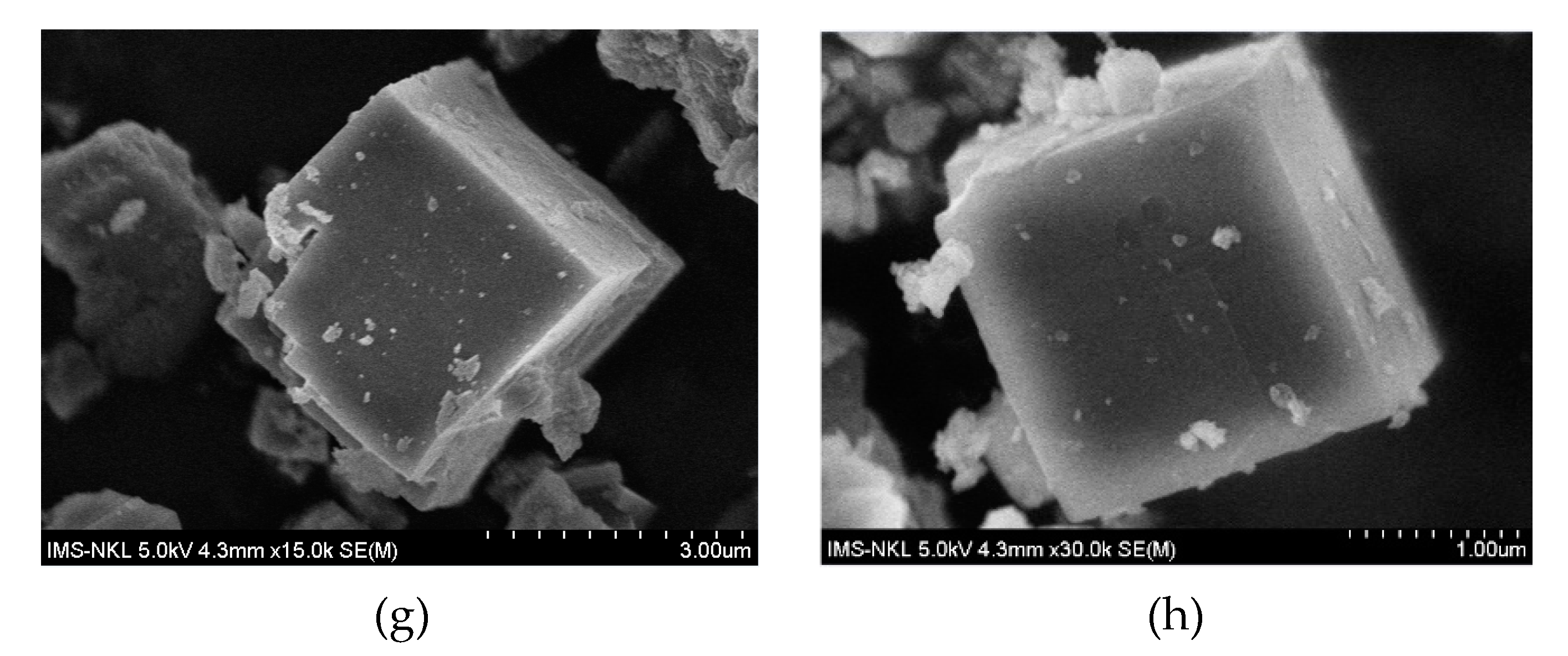 Catalysts 10 00321 g003b