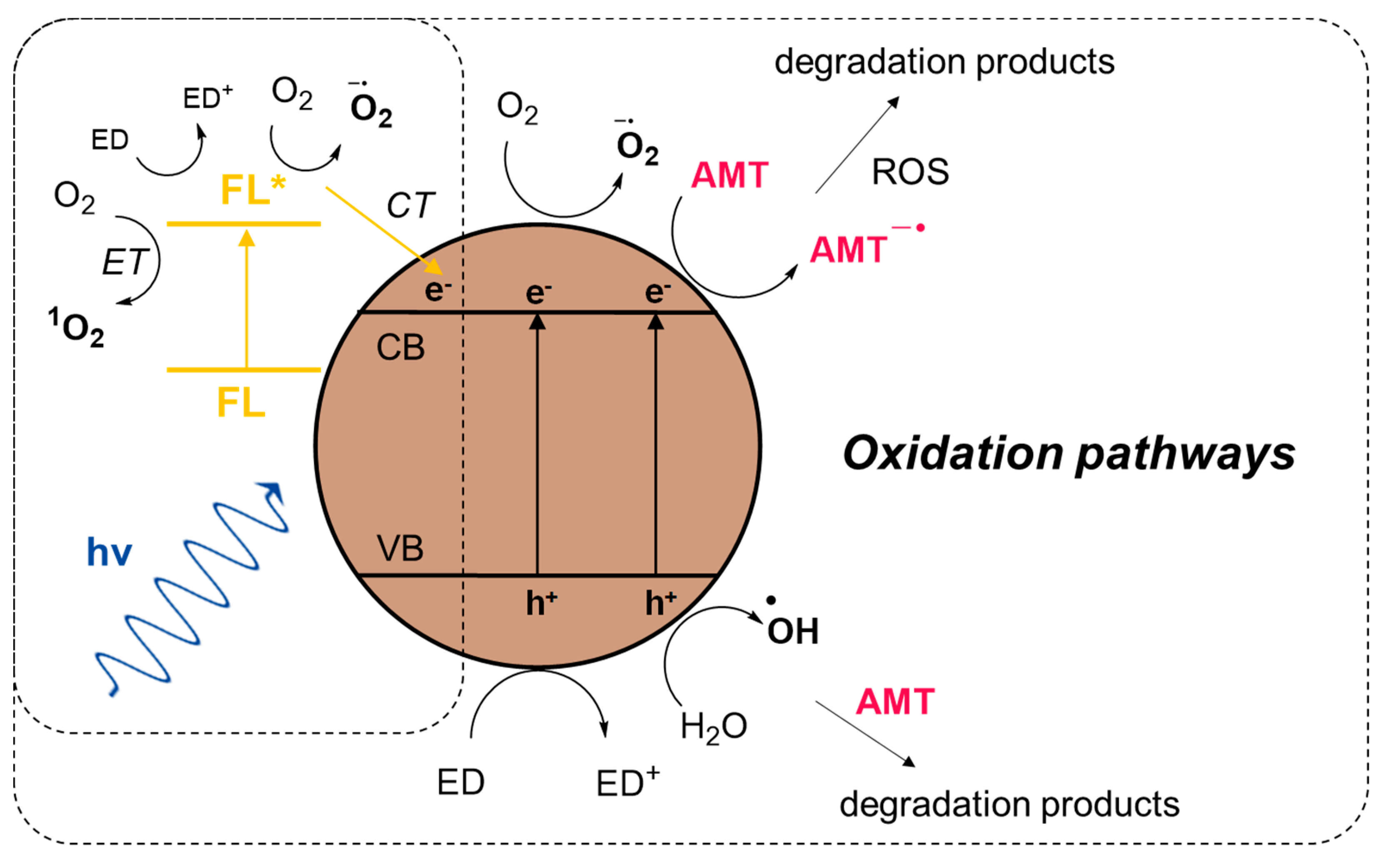 Catalysts 10 00324 sch003