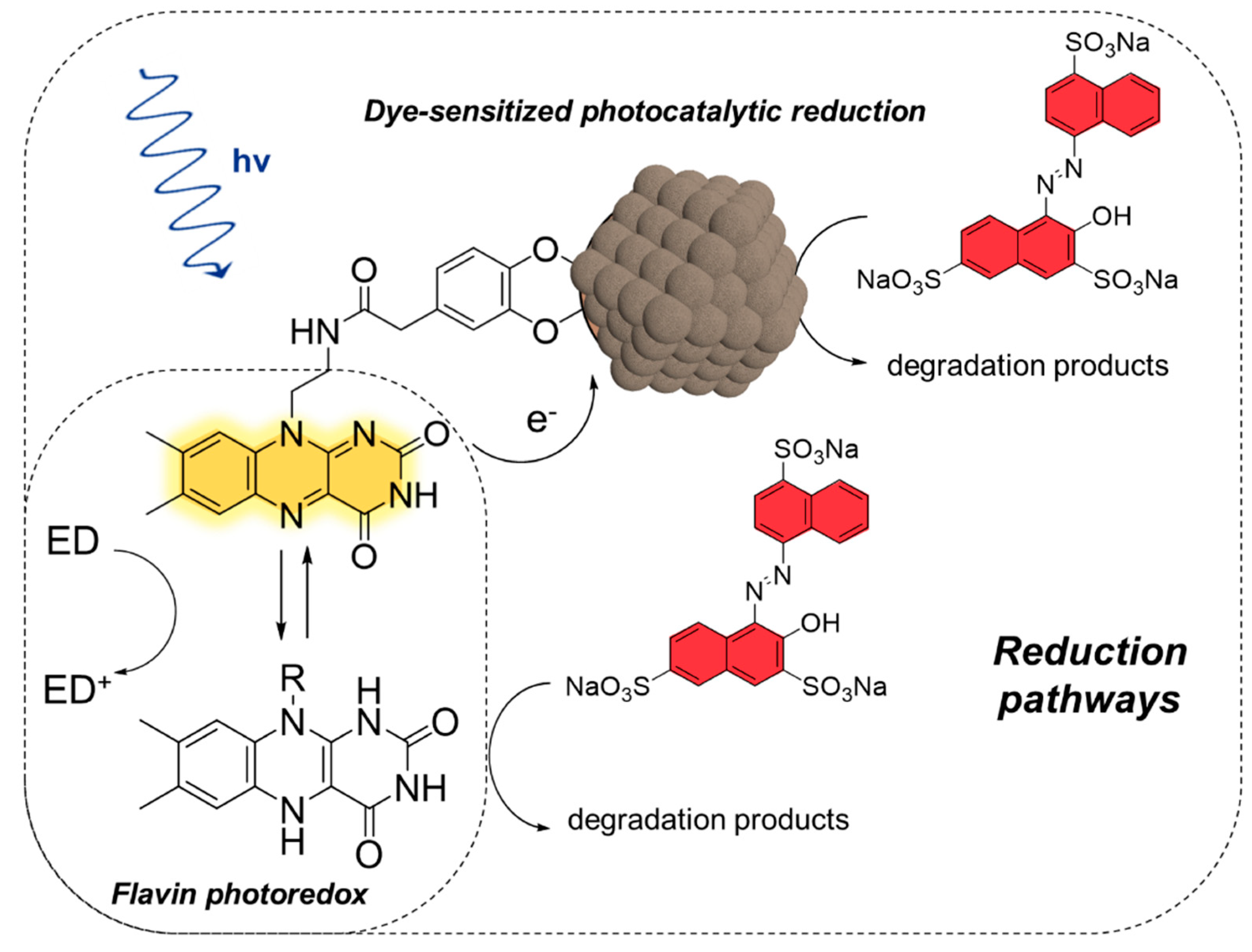 Catalysts 10 00324 sch004