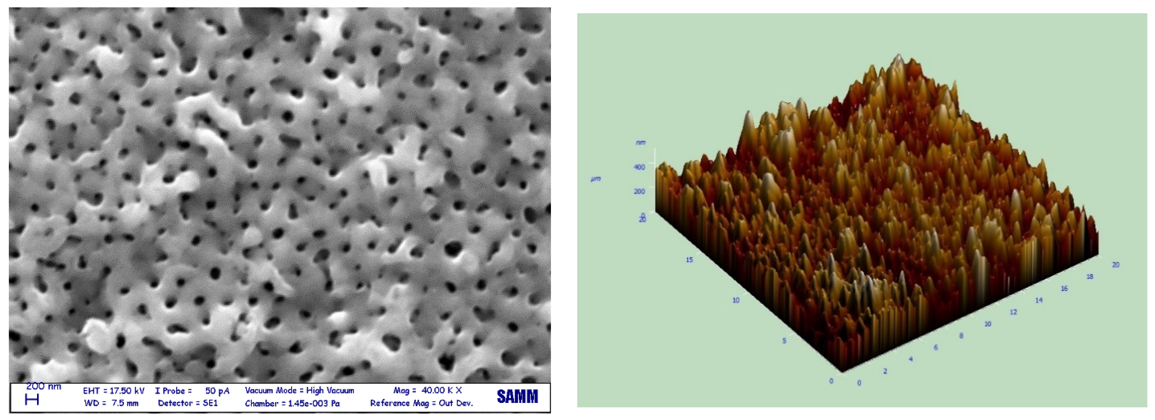 Catalysts 10 00325 g002
