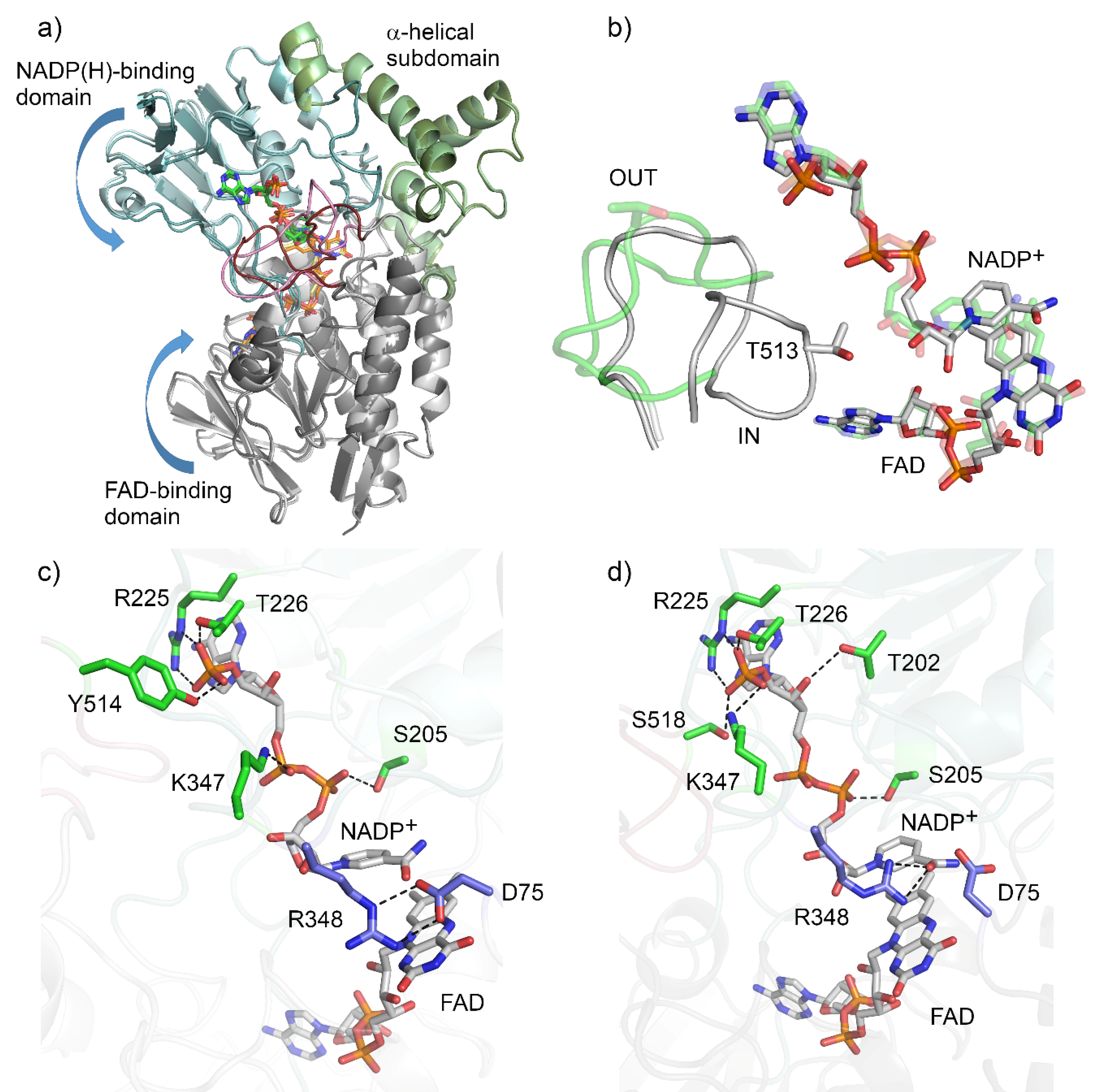 Catalysts 10 00339 g002