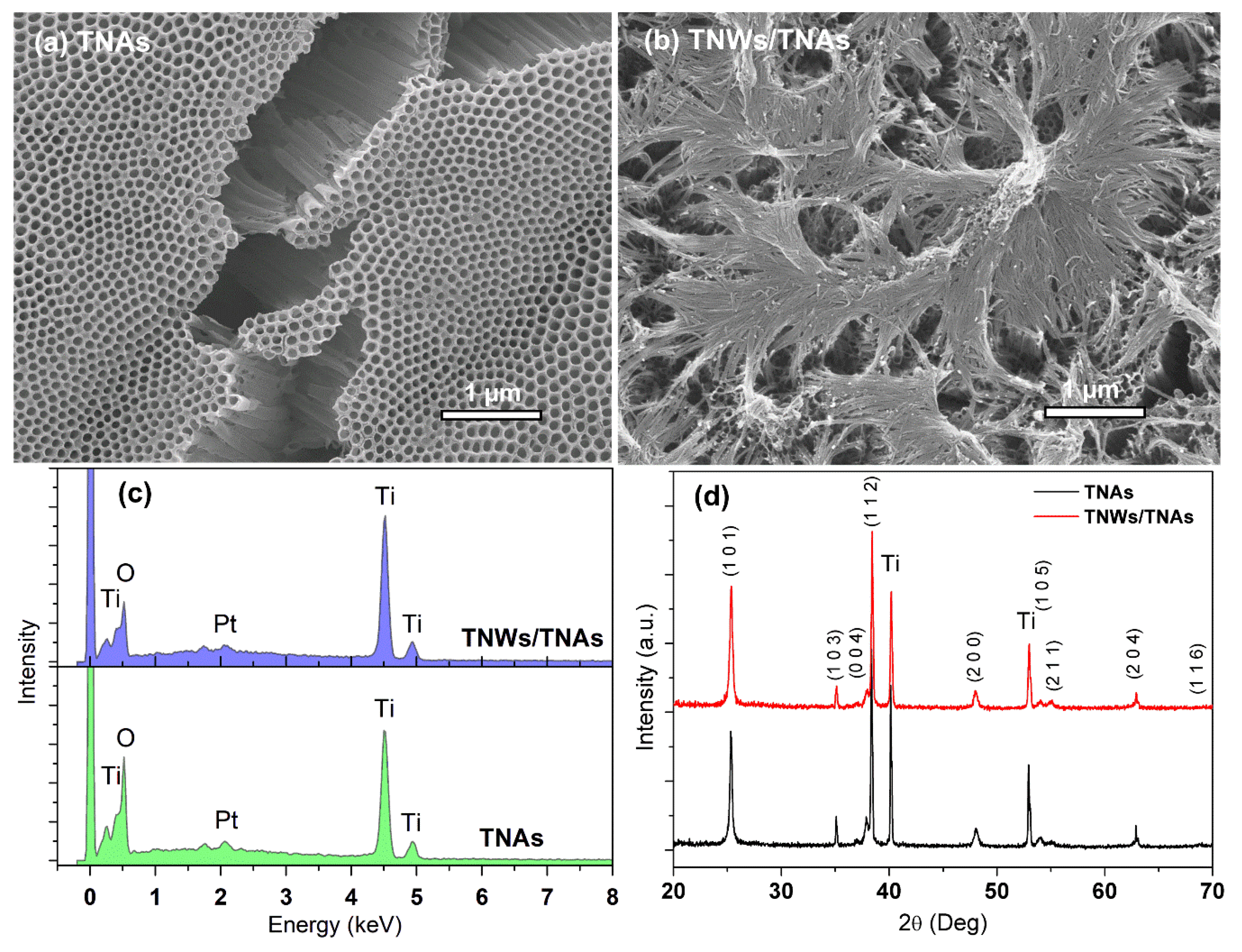Catalysts 10 00356 g003