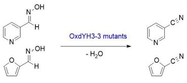 Catalysts 10 00362 i001 Catalysts 10 00362 i001