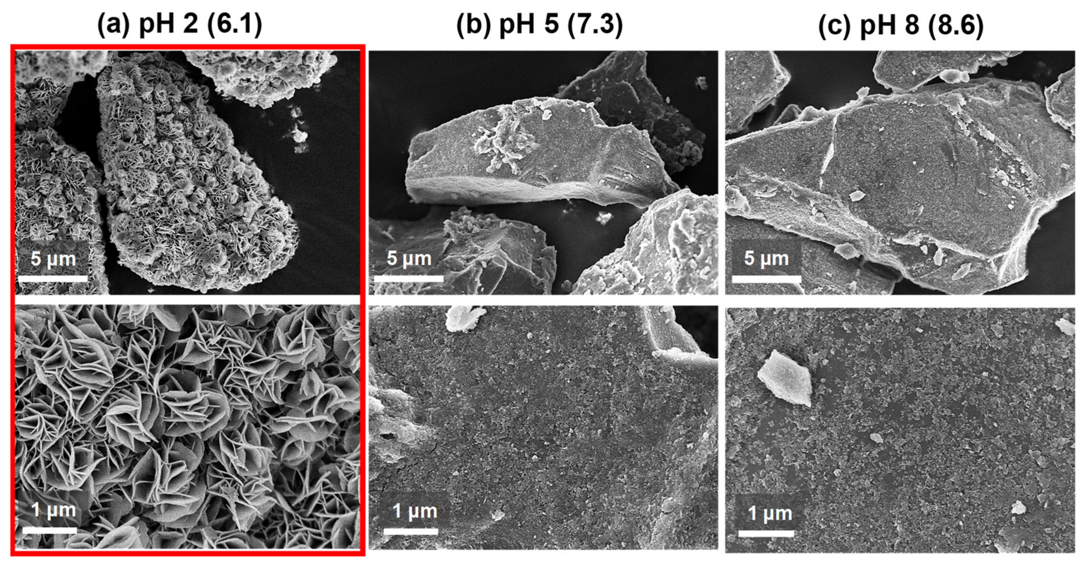 Catalysts 10 00391 g001 Catalysts 10 00391 g001