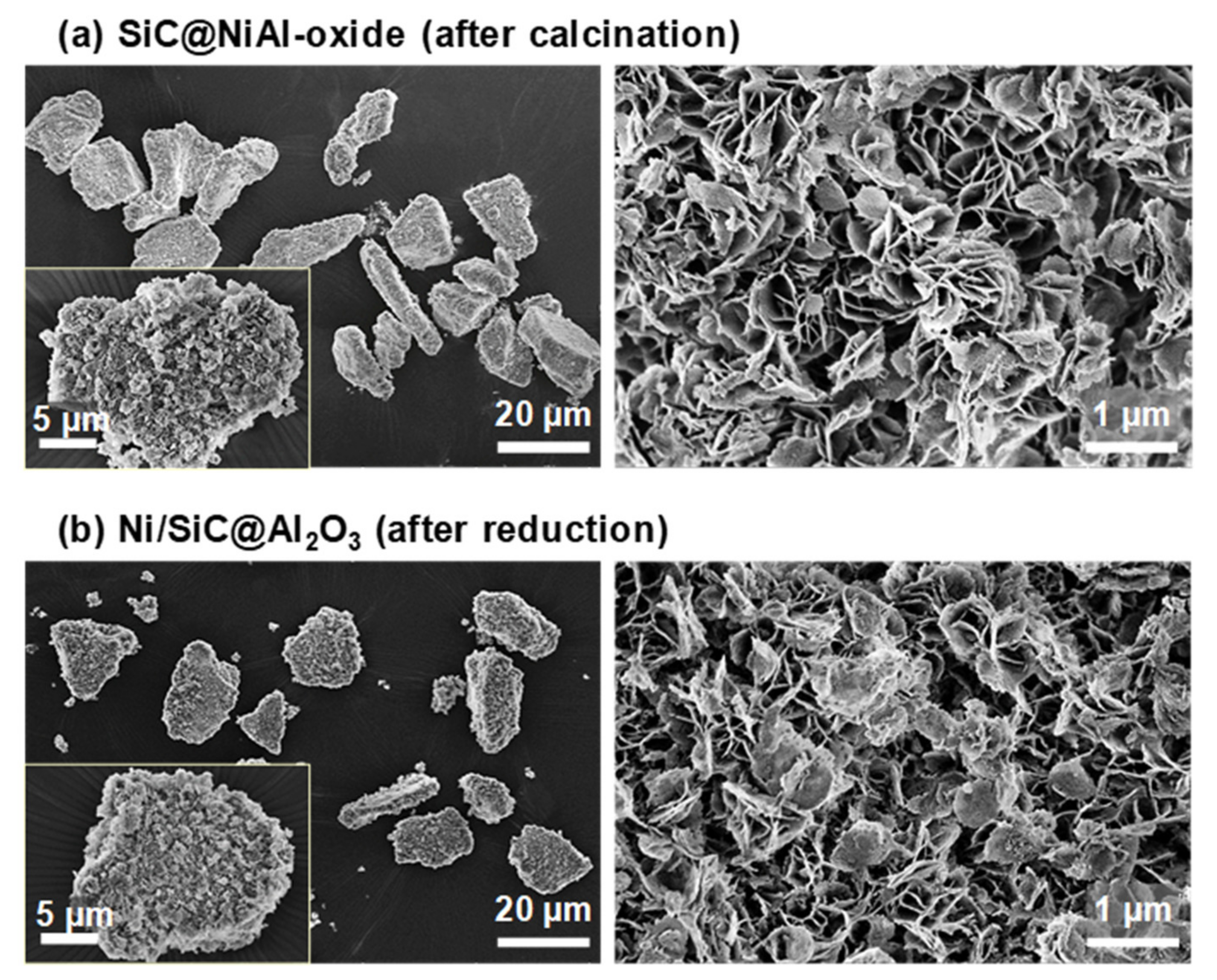 Catalysts 10 00391 g006 Catalysts 10 00391 g006