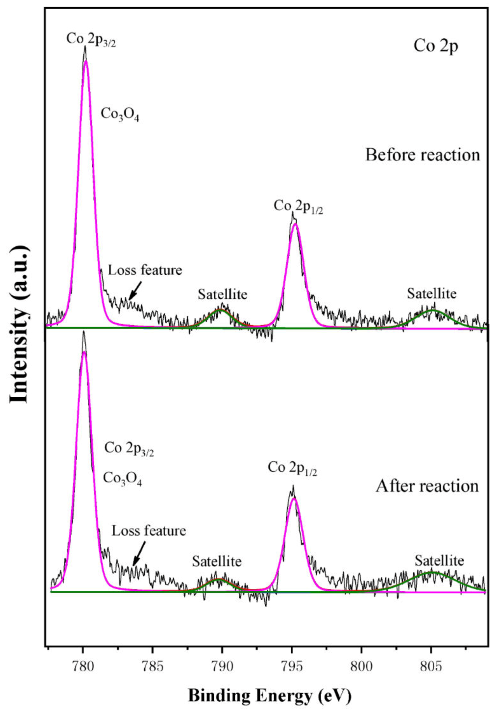 Catalysts 10 00396 g008 Catalysts 10 00396 g008