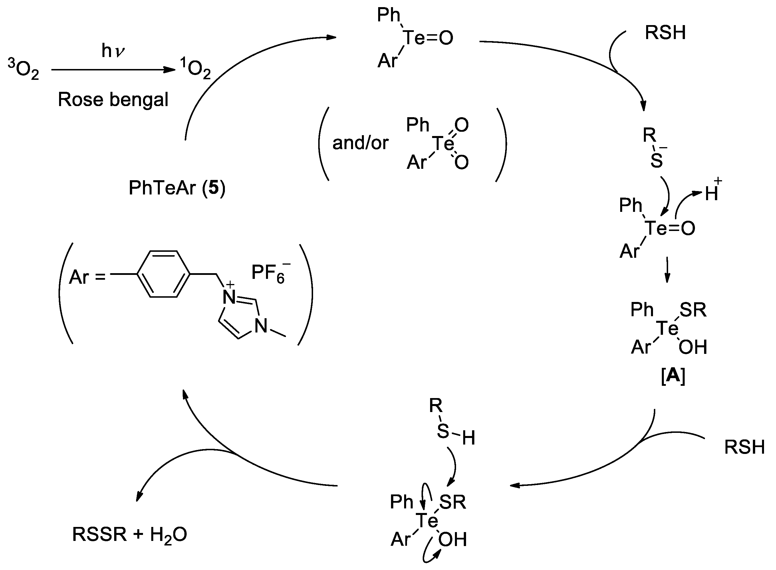 Catalysts 10 00398 g001
