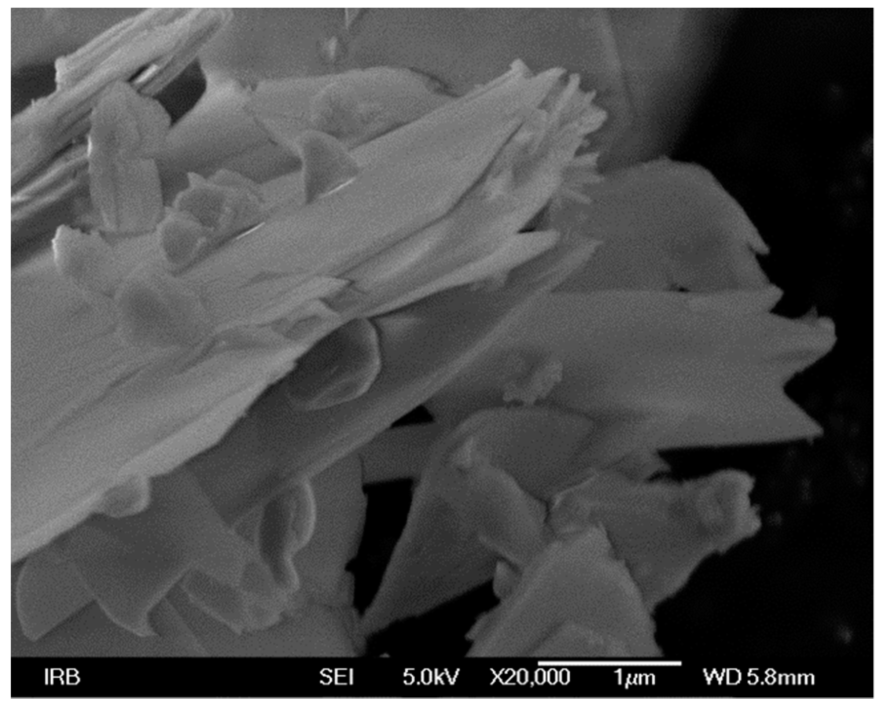 Catalysts 10 00400 g005