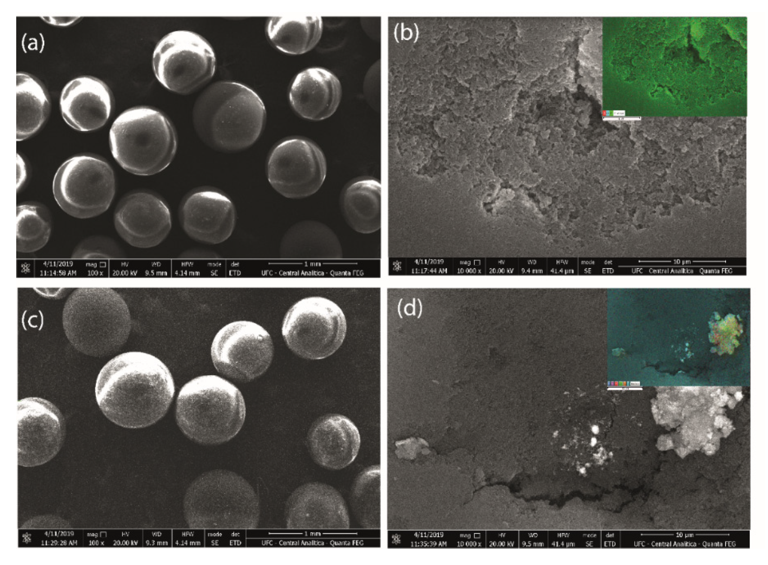 Catalysts 10 00414 g006 Catalysts 10 00414 g006