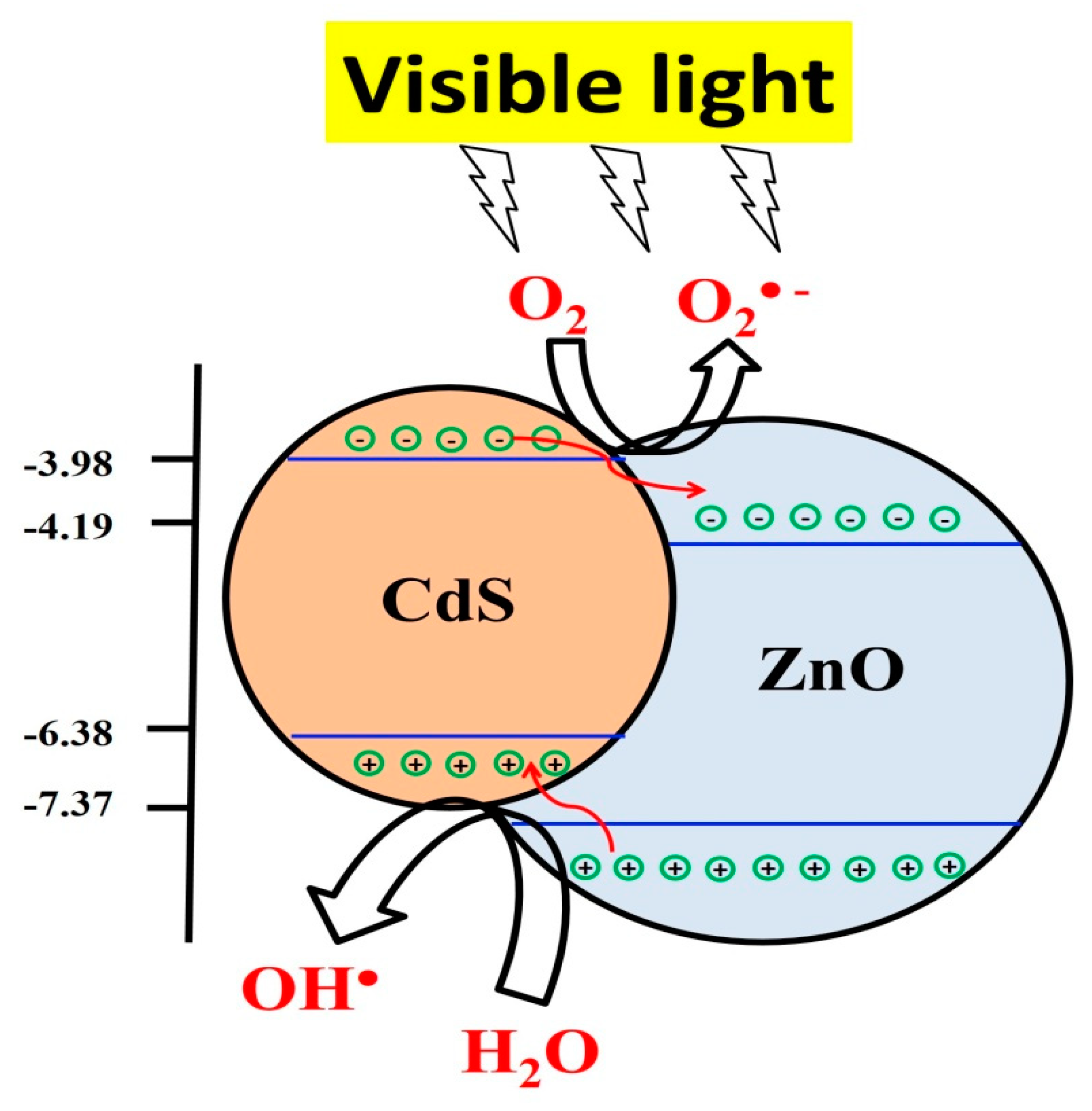 Catalysts 10 00417 g007