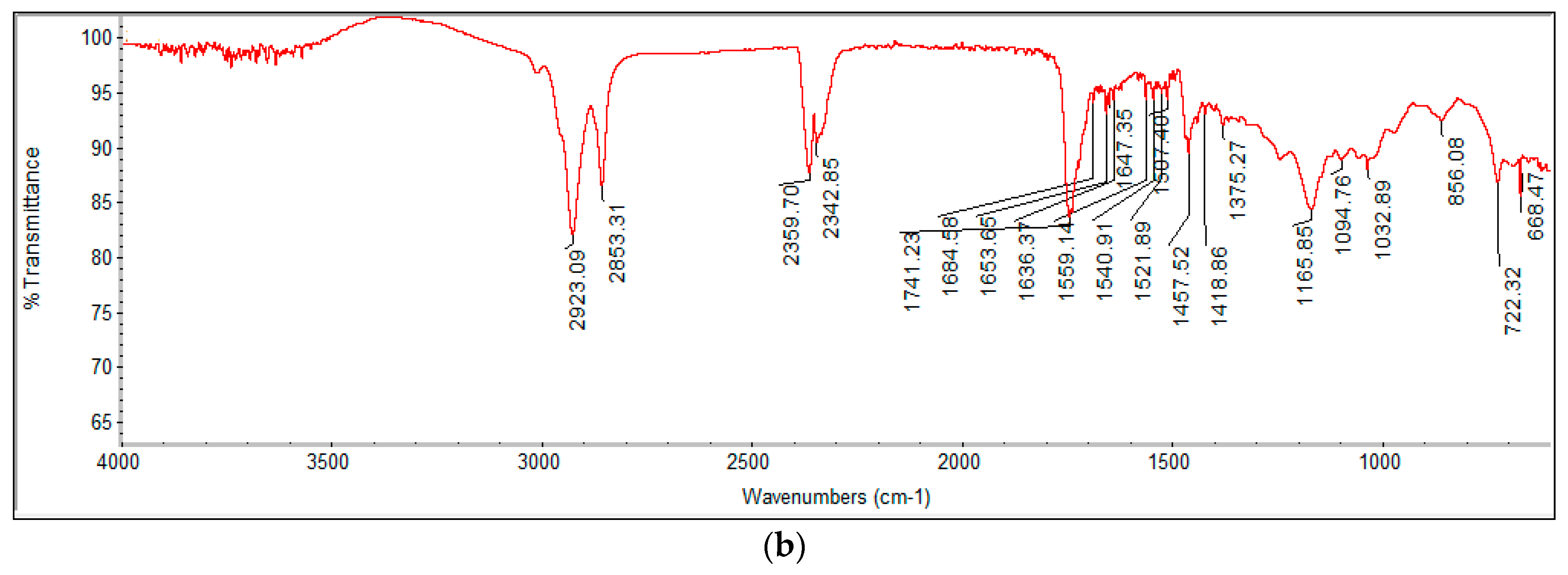 Catalysts 10 00427 g003b