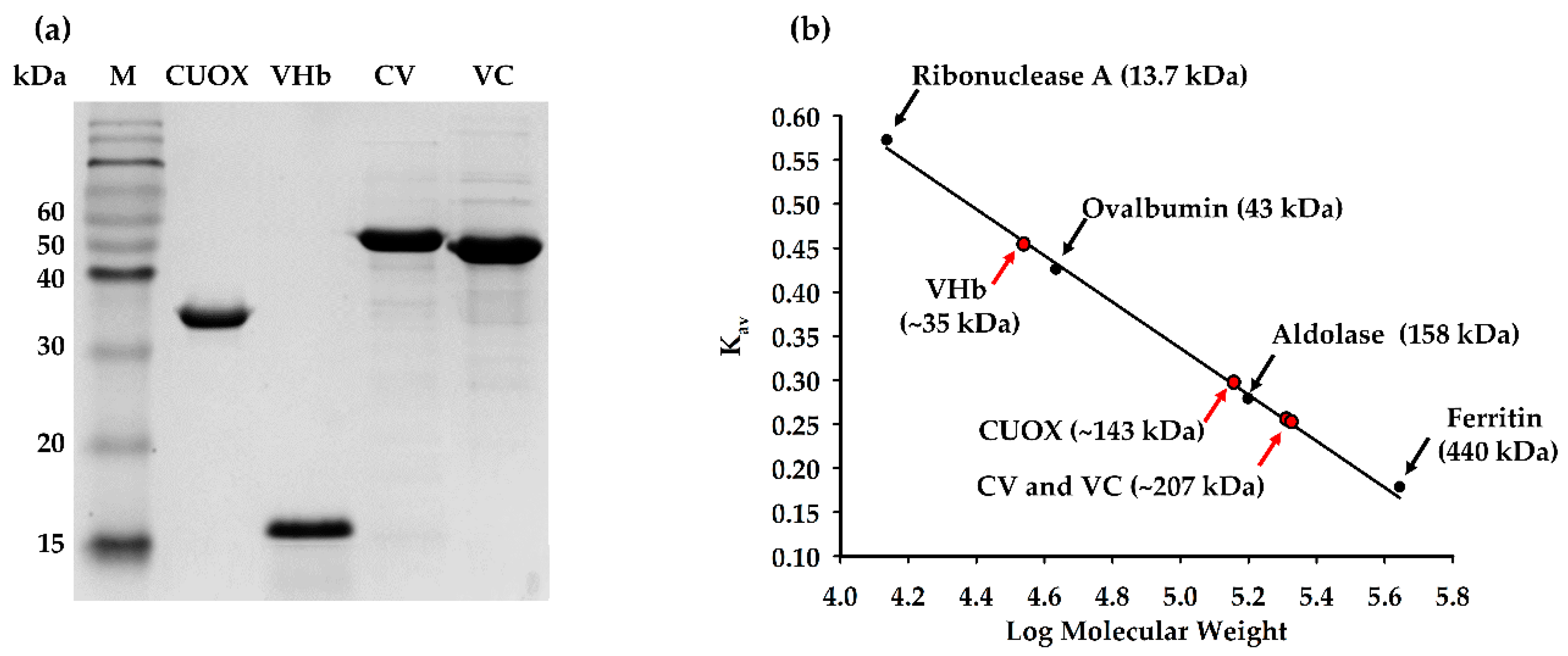 Catalysts 10 00428 g002