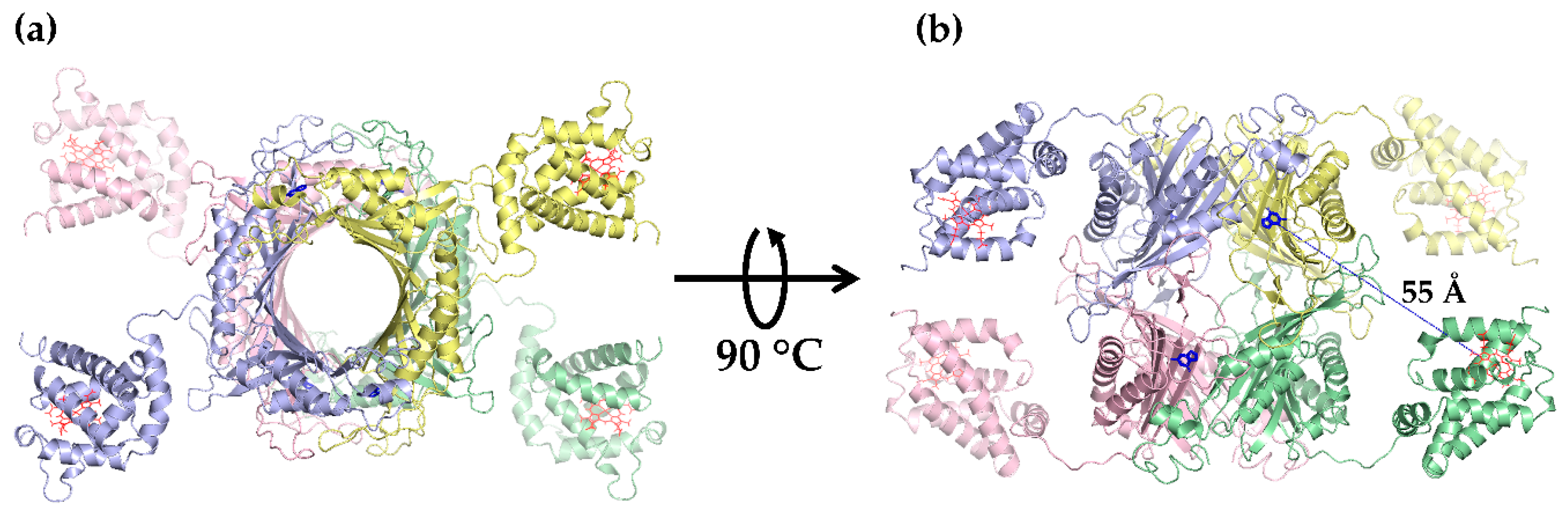 Catalysts 10 00428 g003
