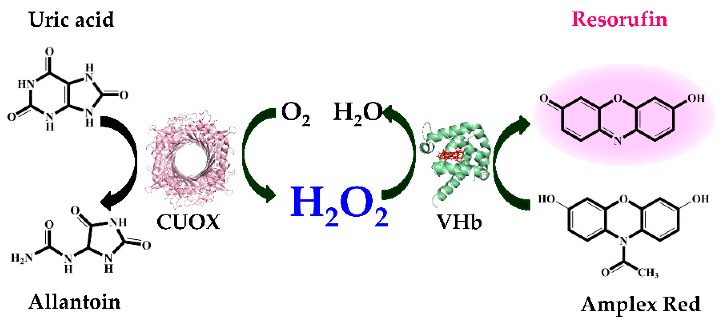 Catalysts 10 00428 g007