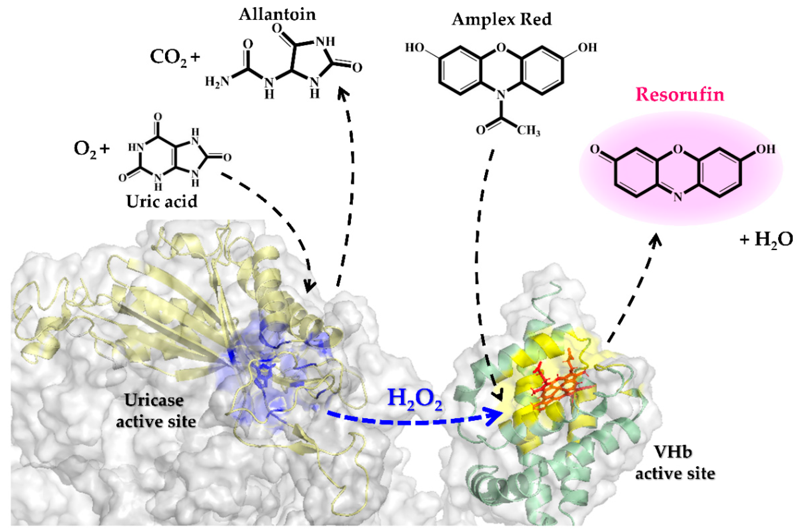 Catalysts 10 00428 g009