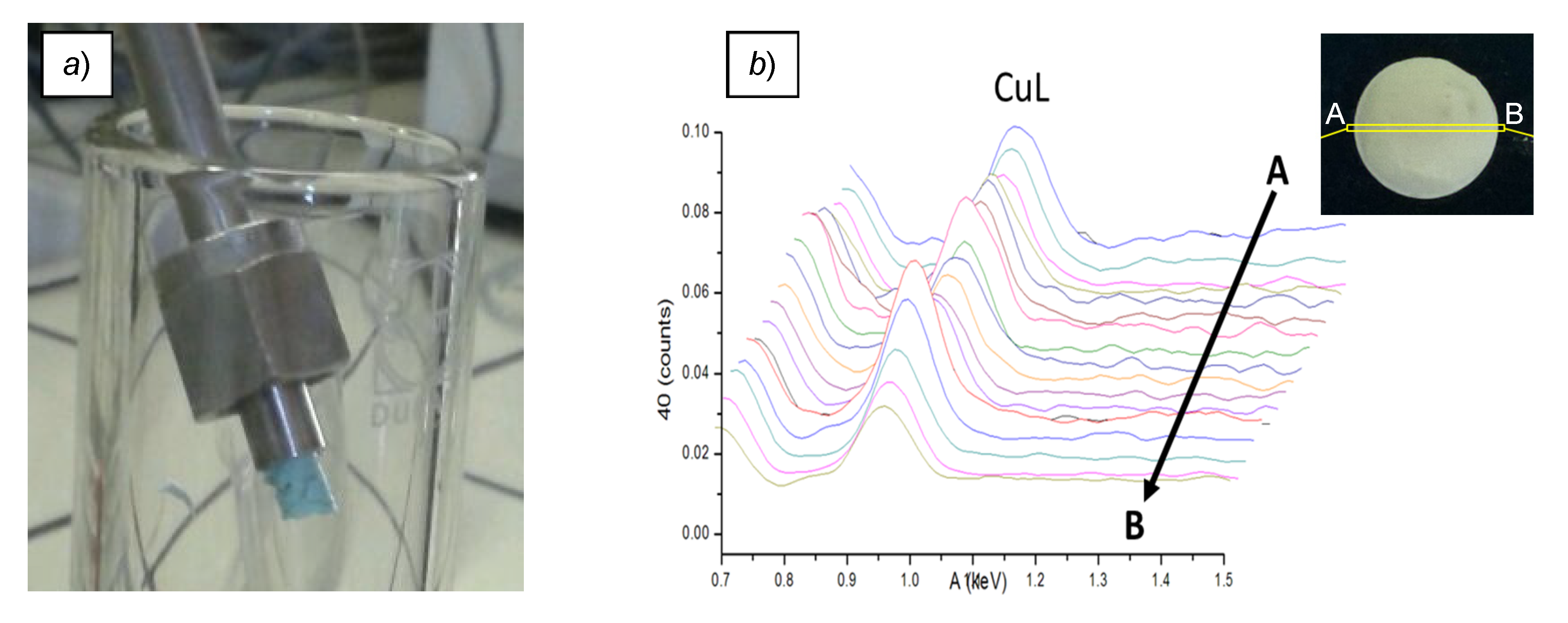 Catalysts 10 00434 g002