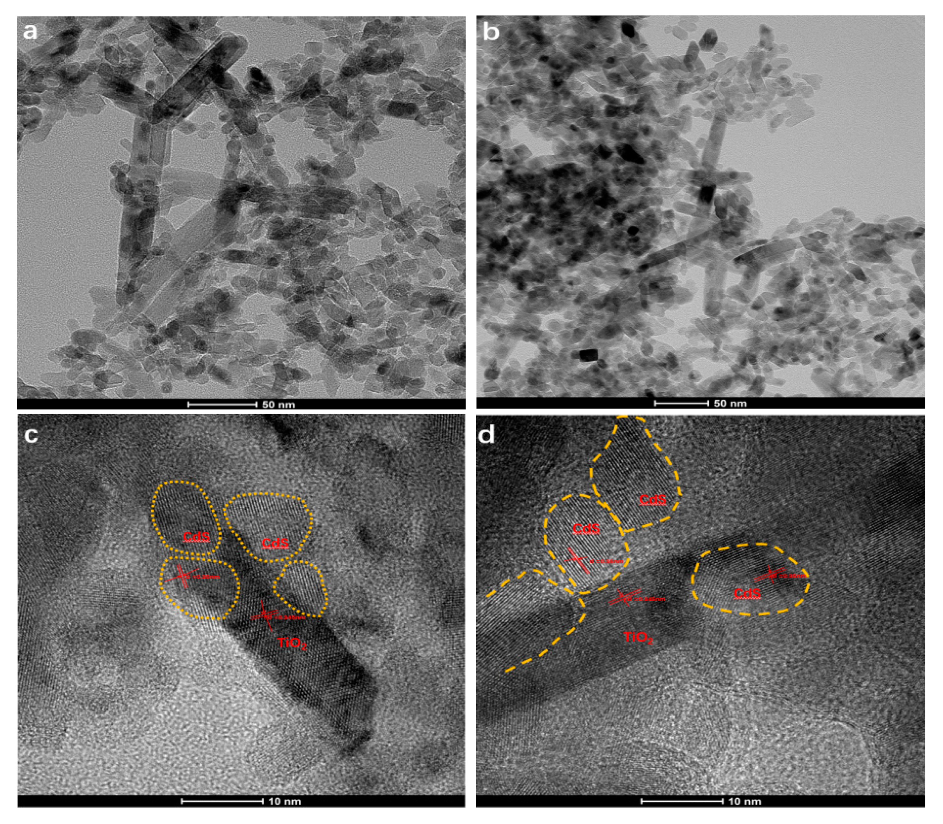 Catalysts 10 00441 g002