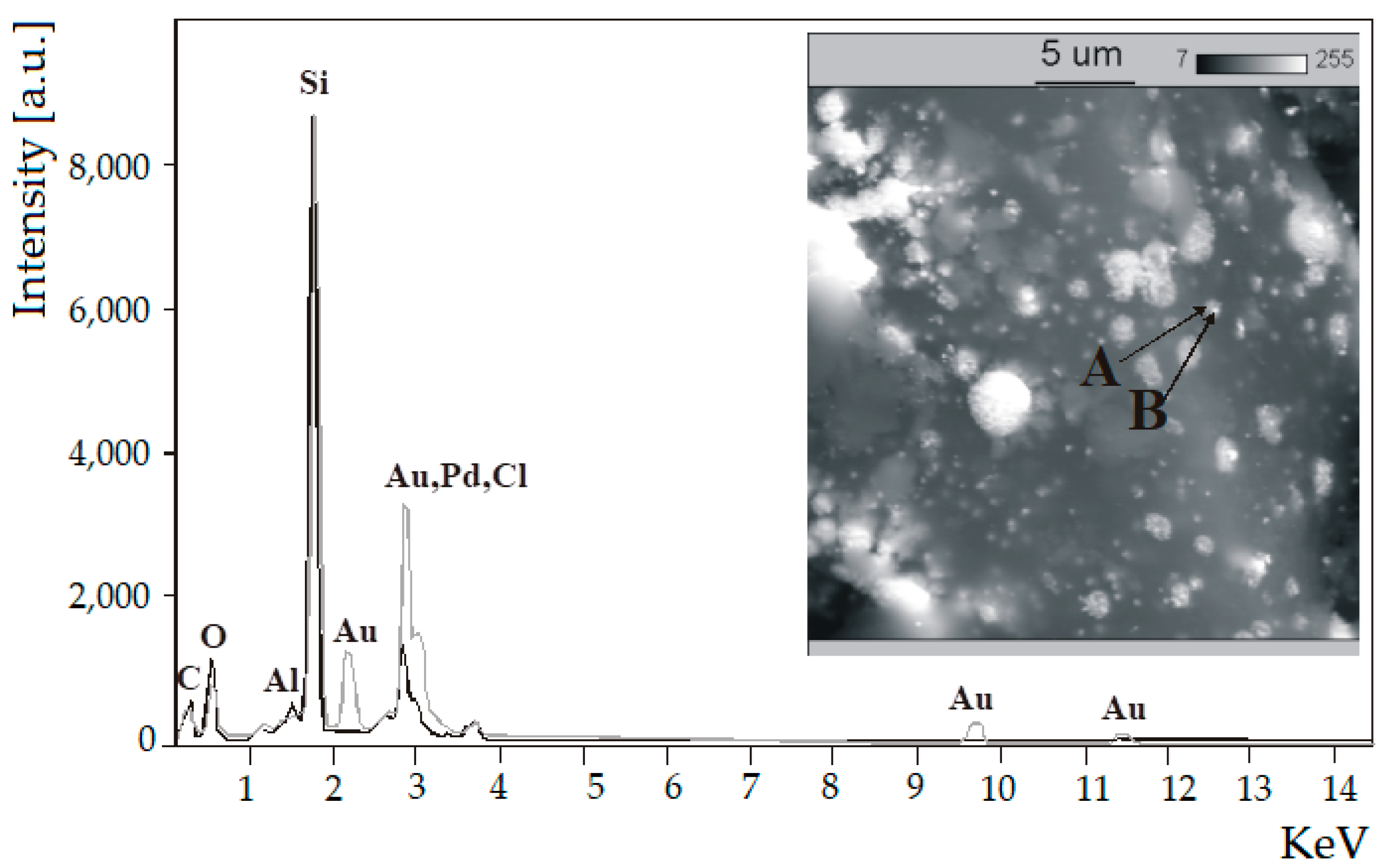 Catalysts 10 00444 g006