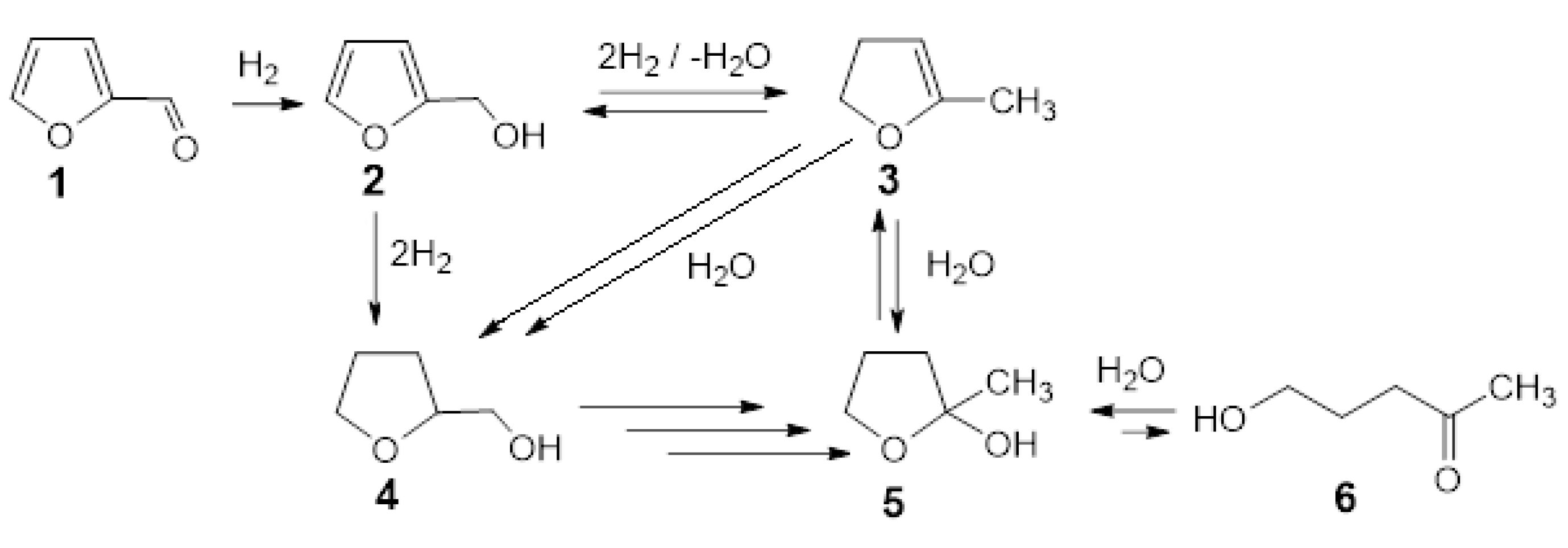 Catalysts 10 00444 g011