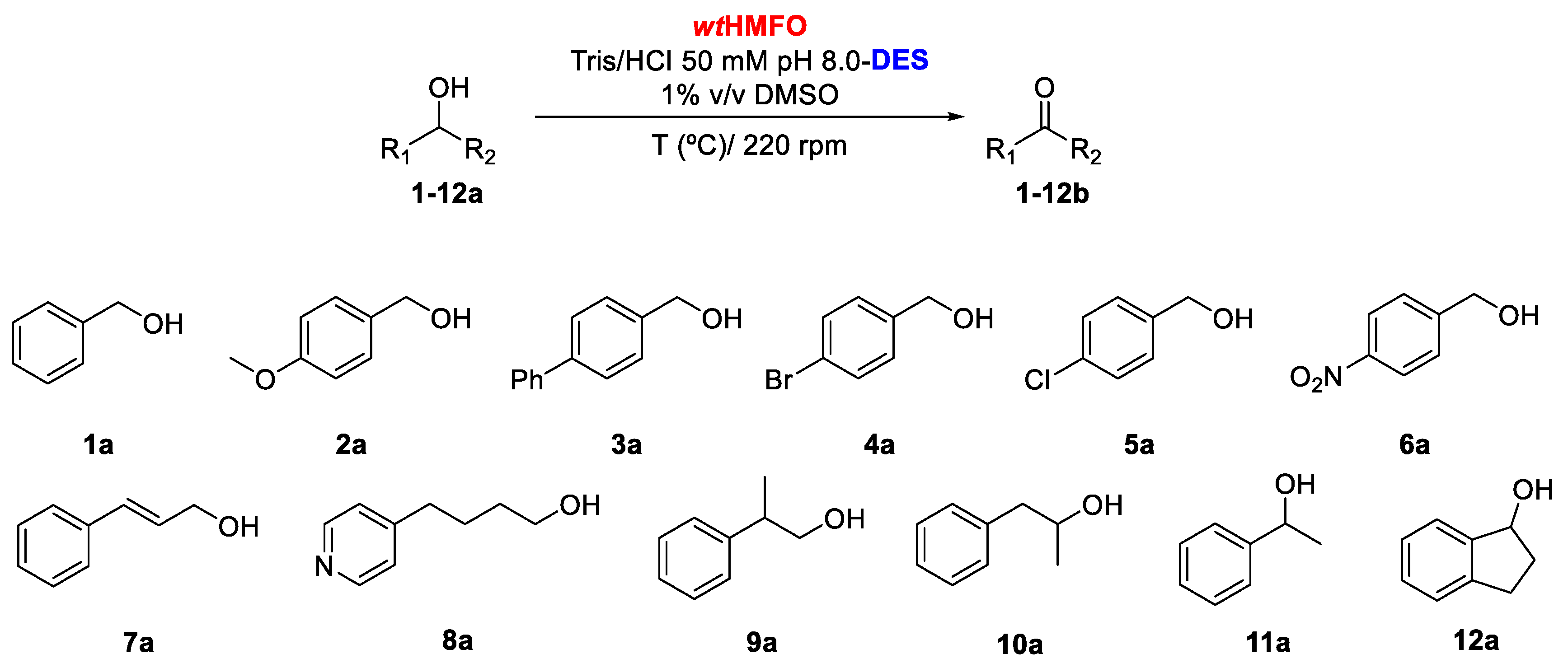 Catalysts 10 00447 sch001