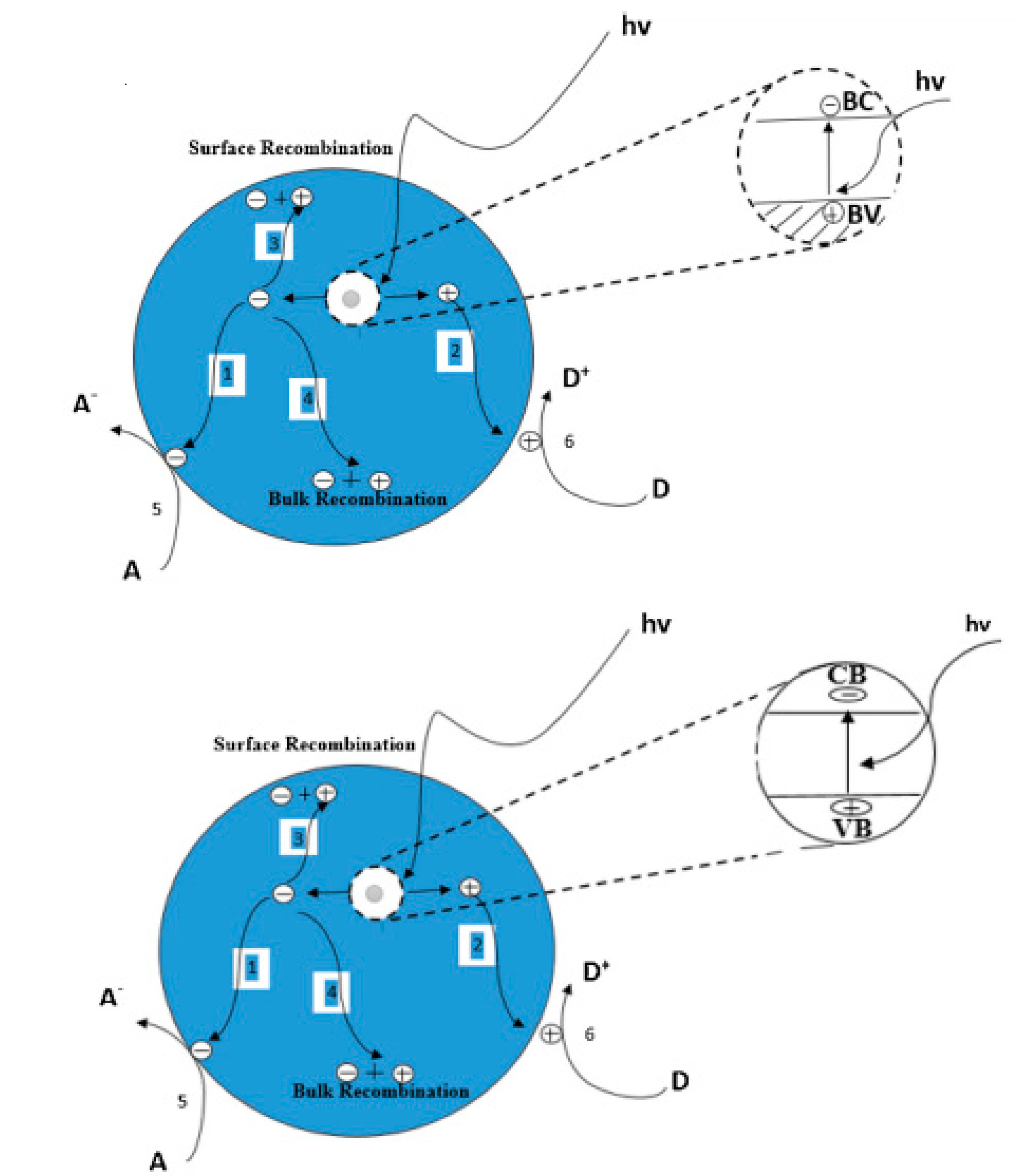 Catalysts 10 00464 g002 Catalysts 10 00464 g002