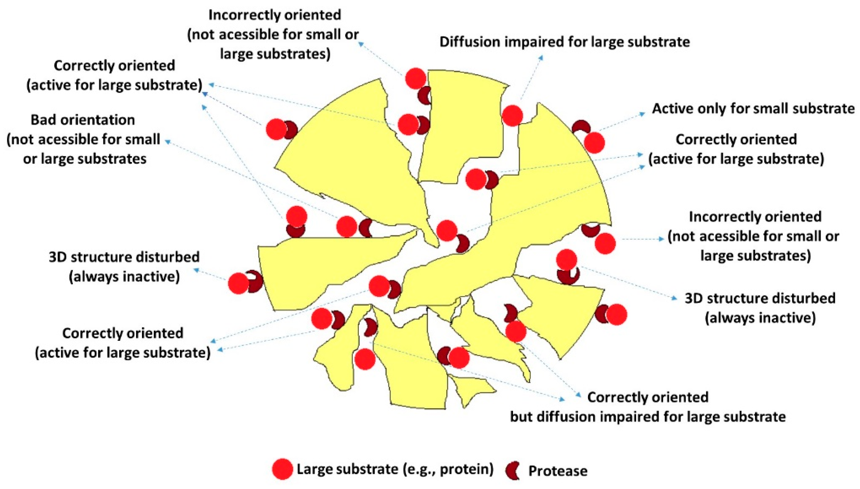 Catalysts 10 00466 g001 Catalysts 10 00466 g001