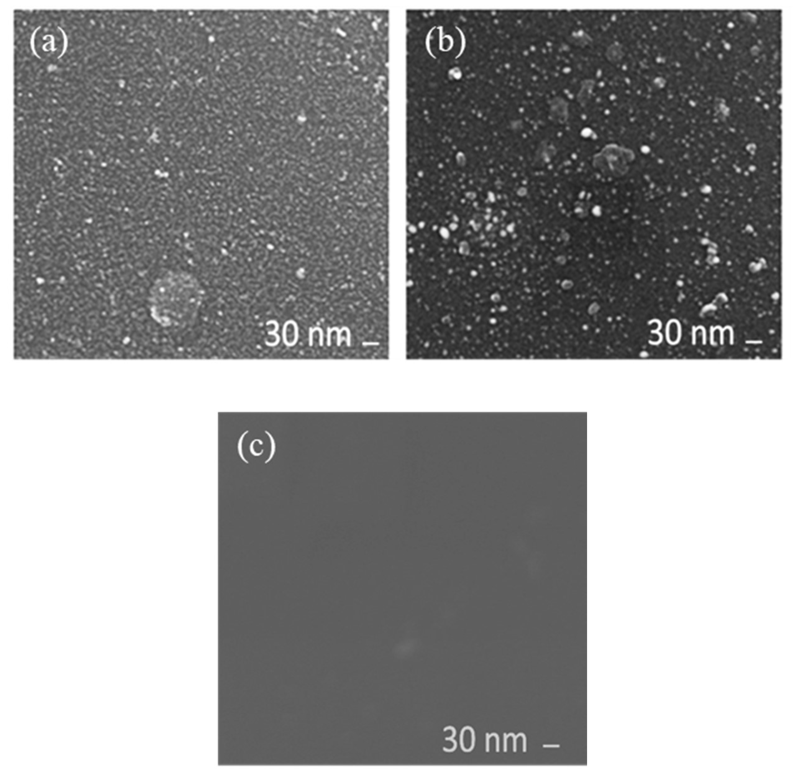 Catalysts 10 00472 g001 Catalysts 10 00472 g001