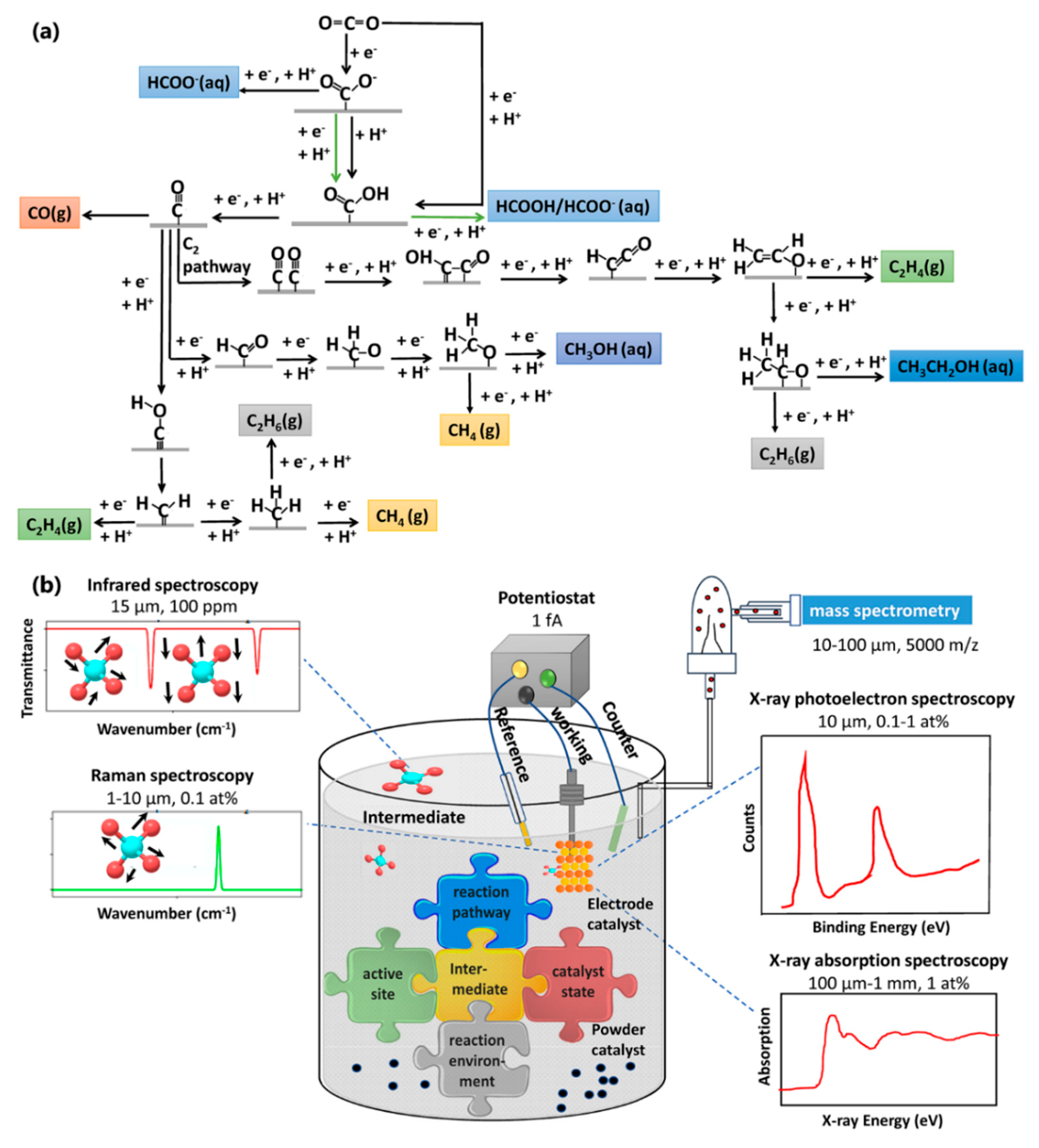 Catalysts 10 00481 g001
