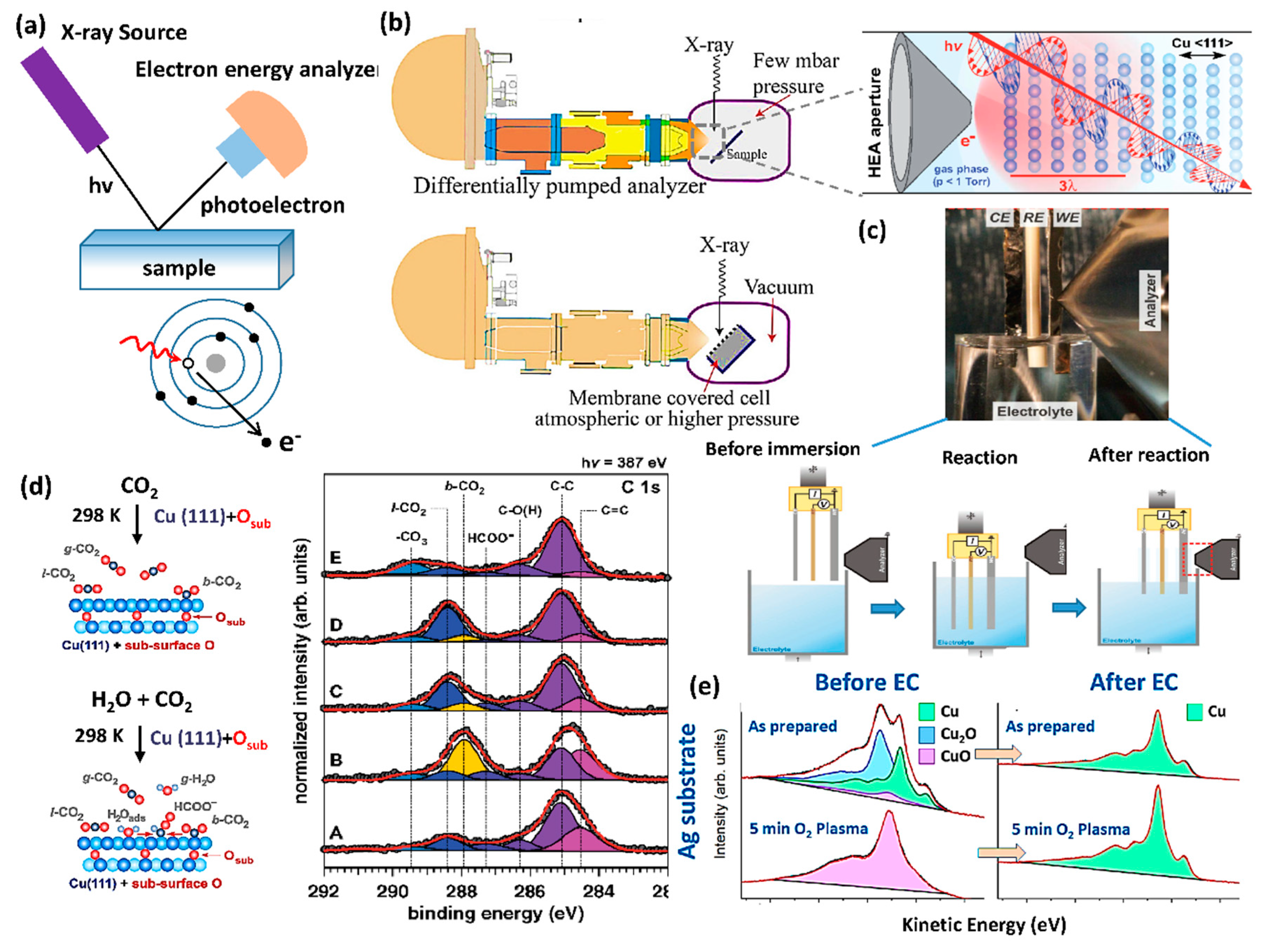 Catalysts 10 00481 g008