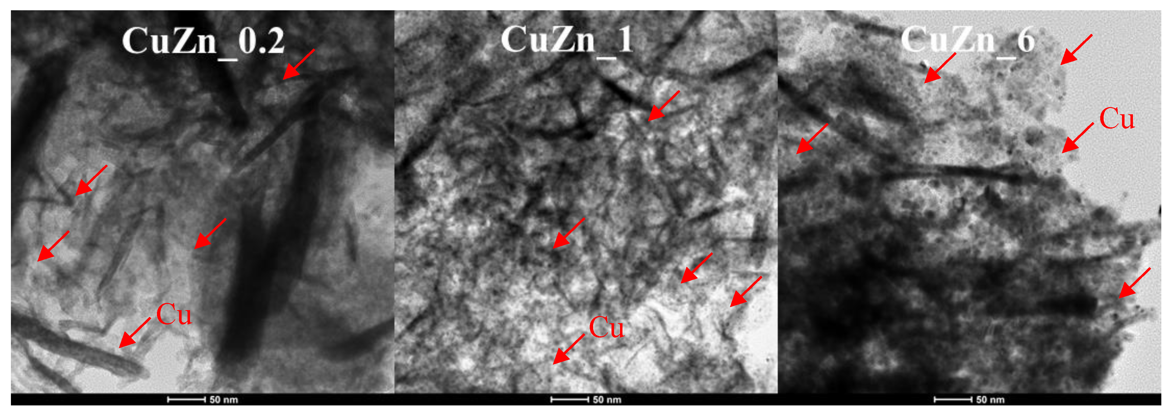 Catalysts 10 00486 g005 Catalysts 10 00486 g005