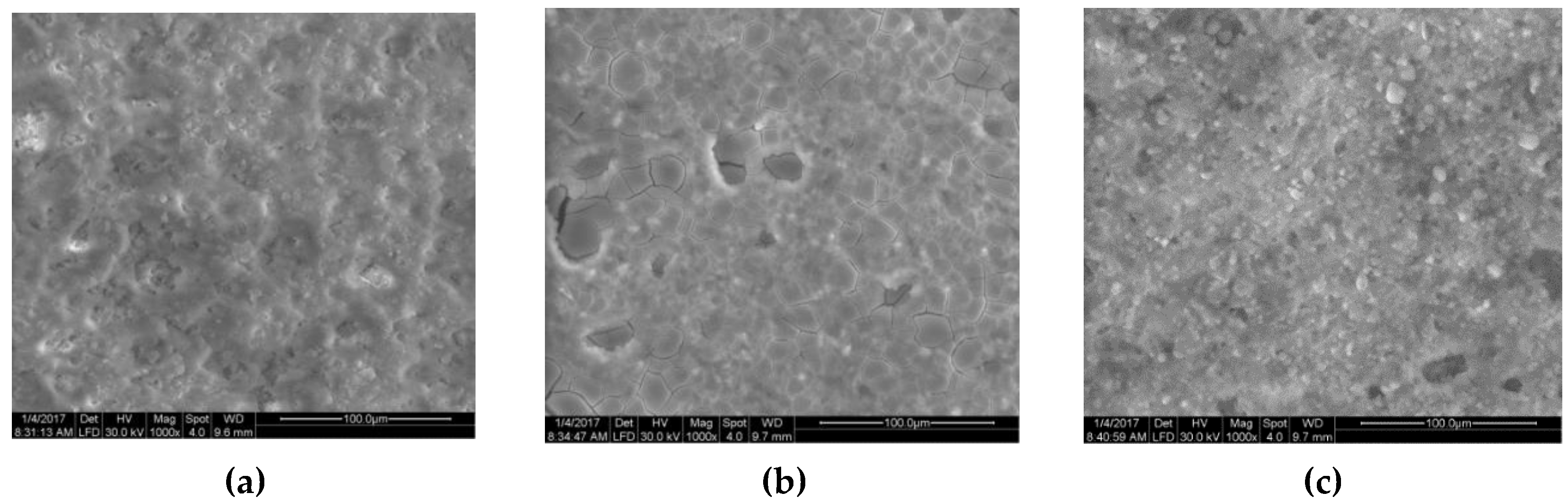 Catalysts 10 00511 g001