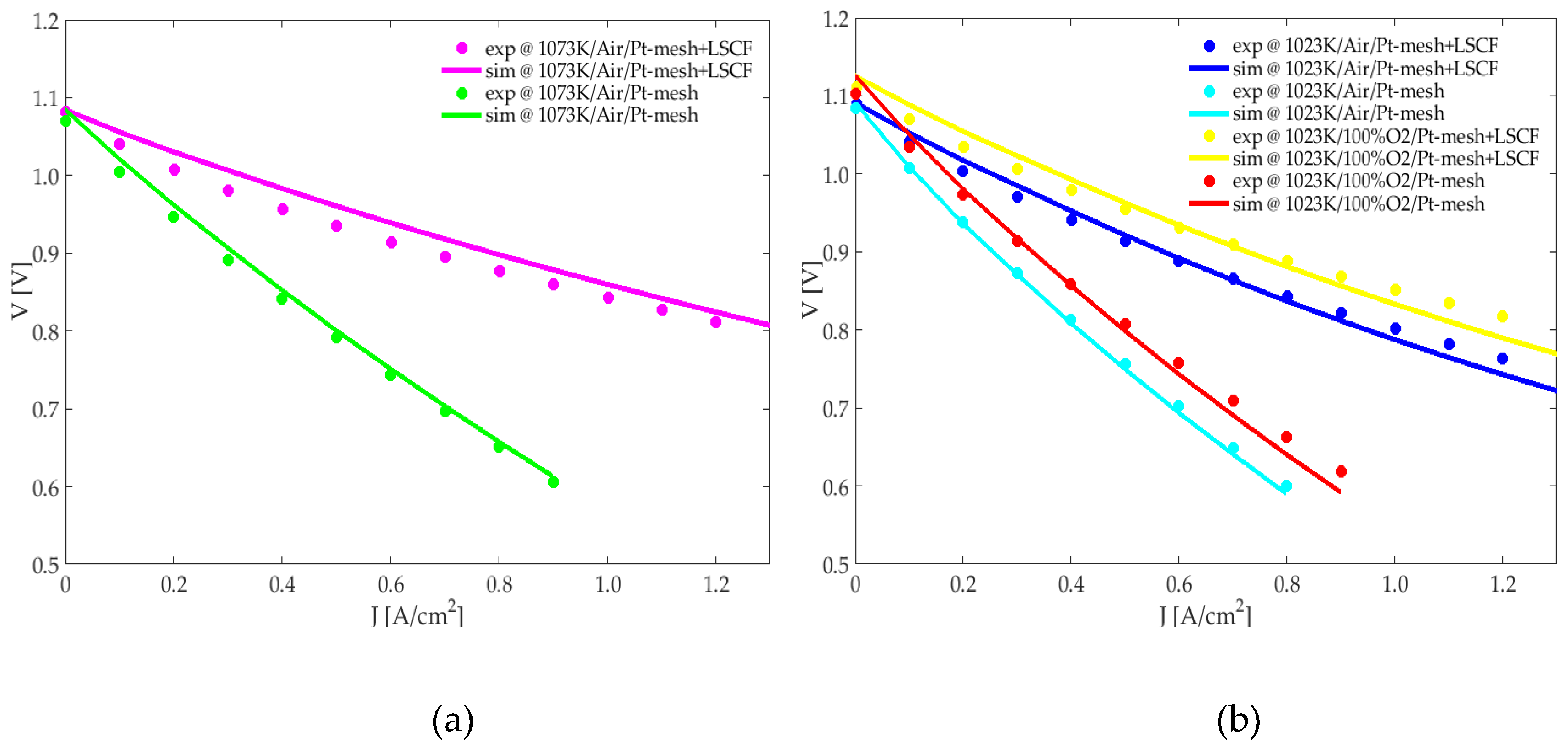 Catalysts 10 00519 g003