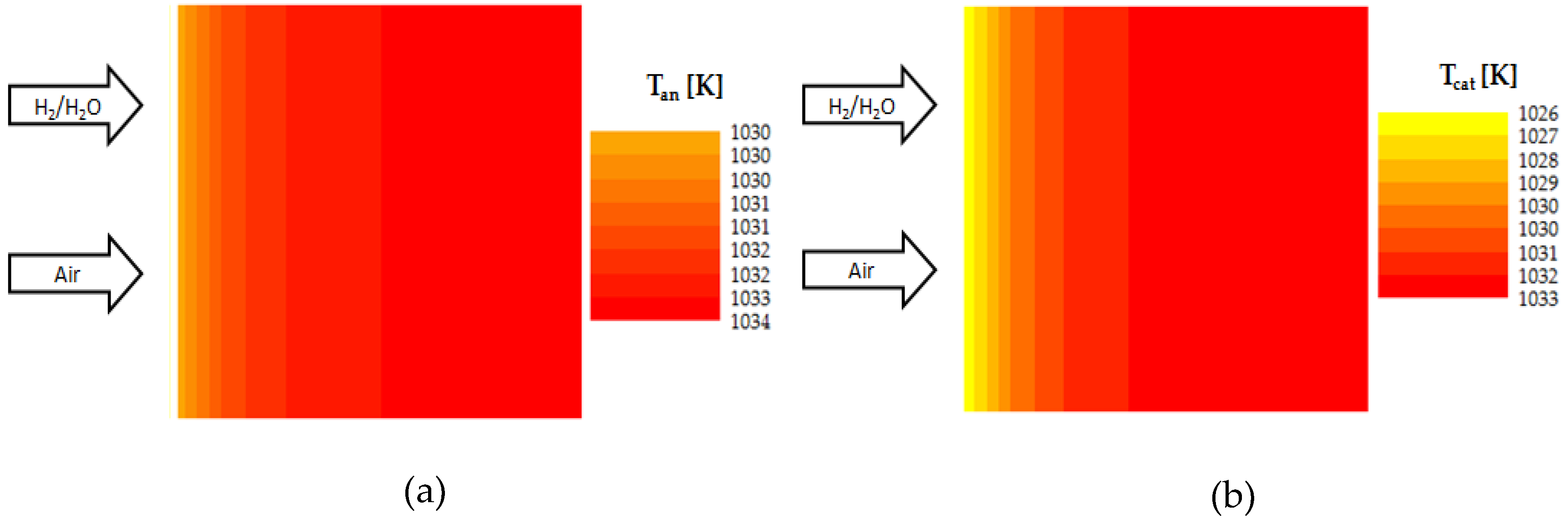 Catalysts 10 00519 g005