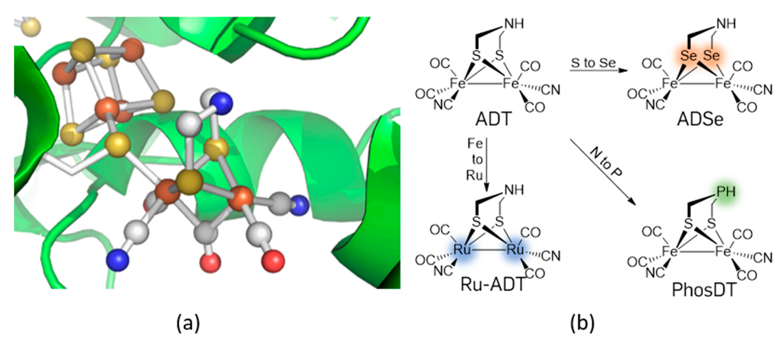 Catalysts 10 00522 g001