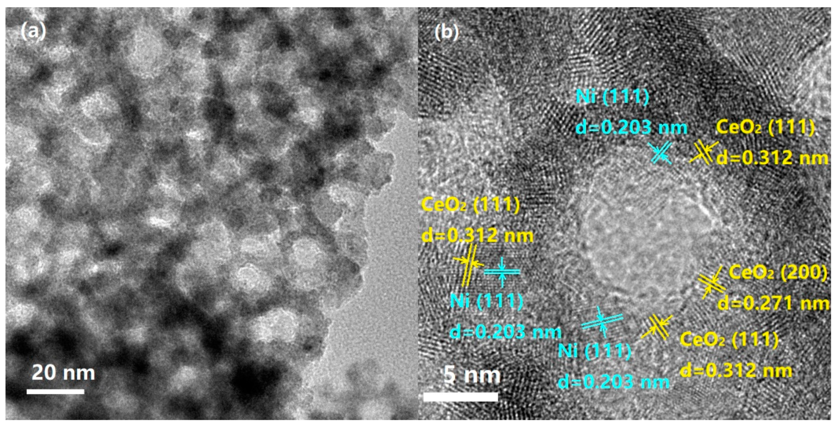 Catalysts 10 00523 g008a Catalysts 10 00523 g008a