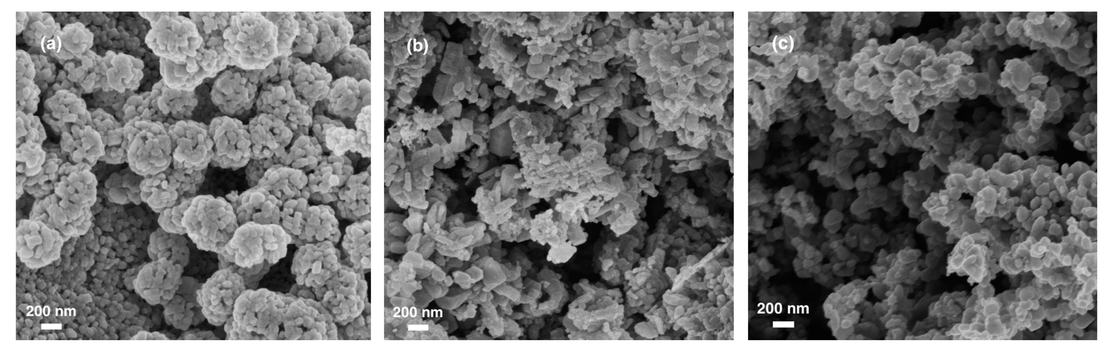 Catalysts 10 00528 g003 Catalysts 10 00528 g003