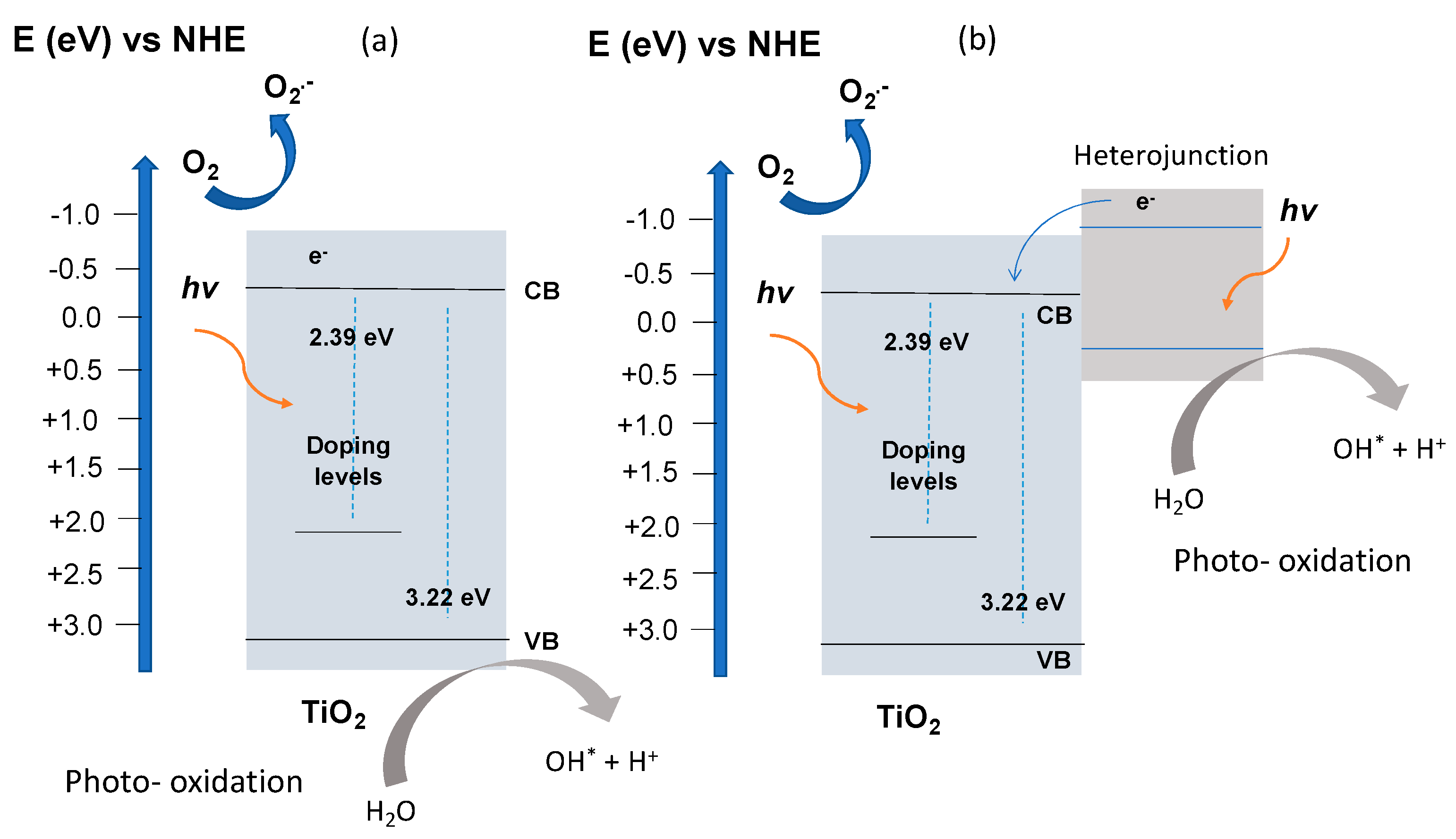 Catalysts 10 00528 sch001 Catalysts 10 00528 sch001