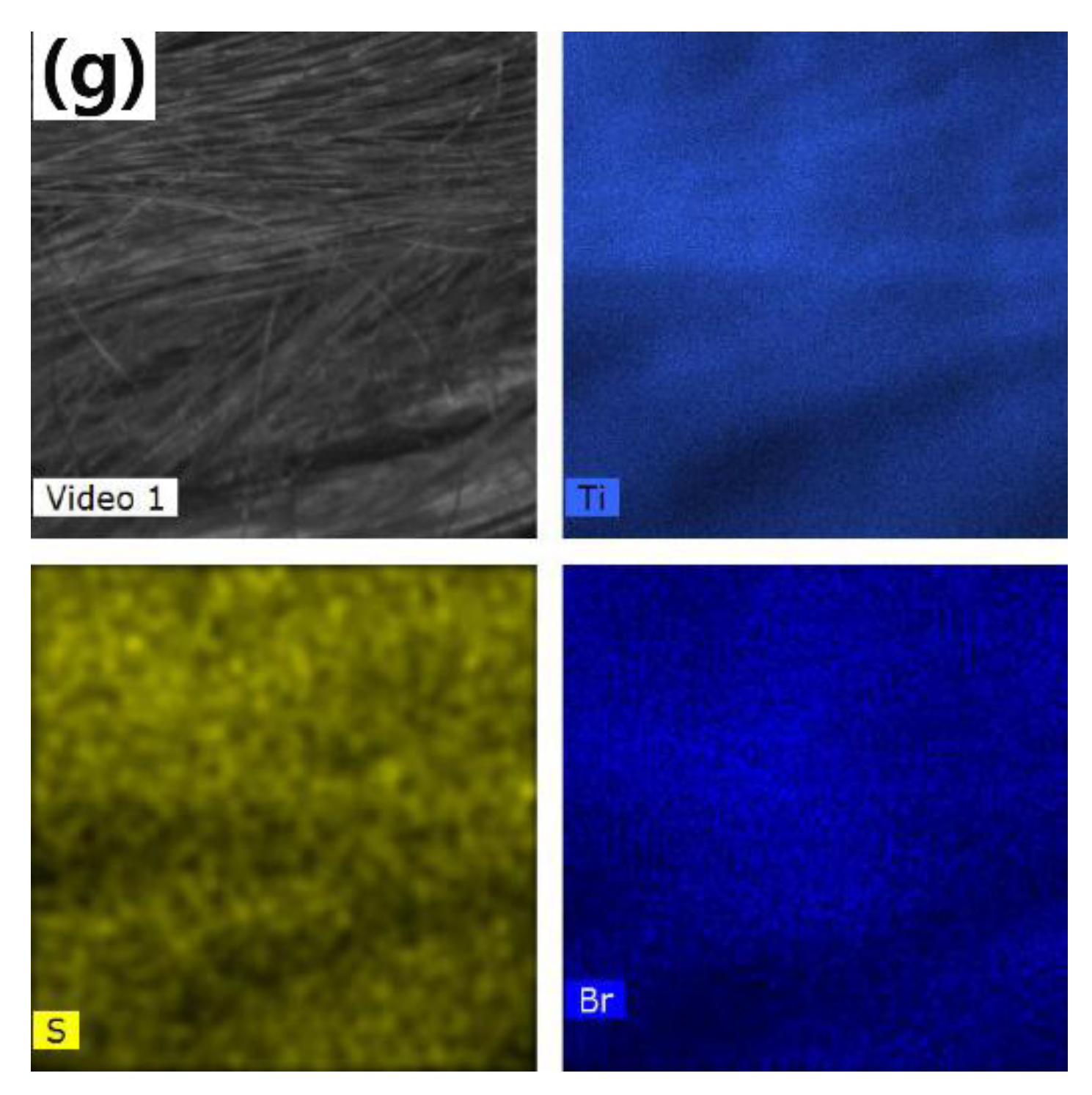 Catalysts 10 00531 g001b