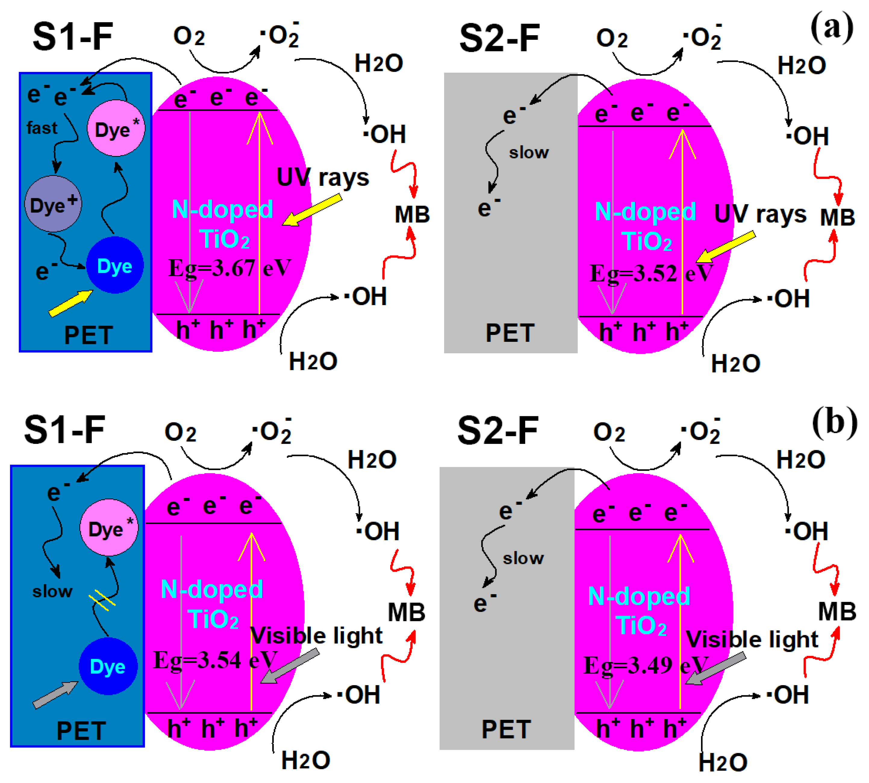 Catalysts 10 00531 g008