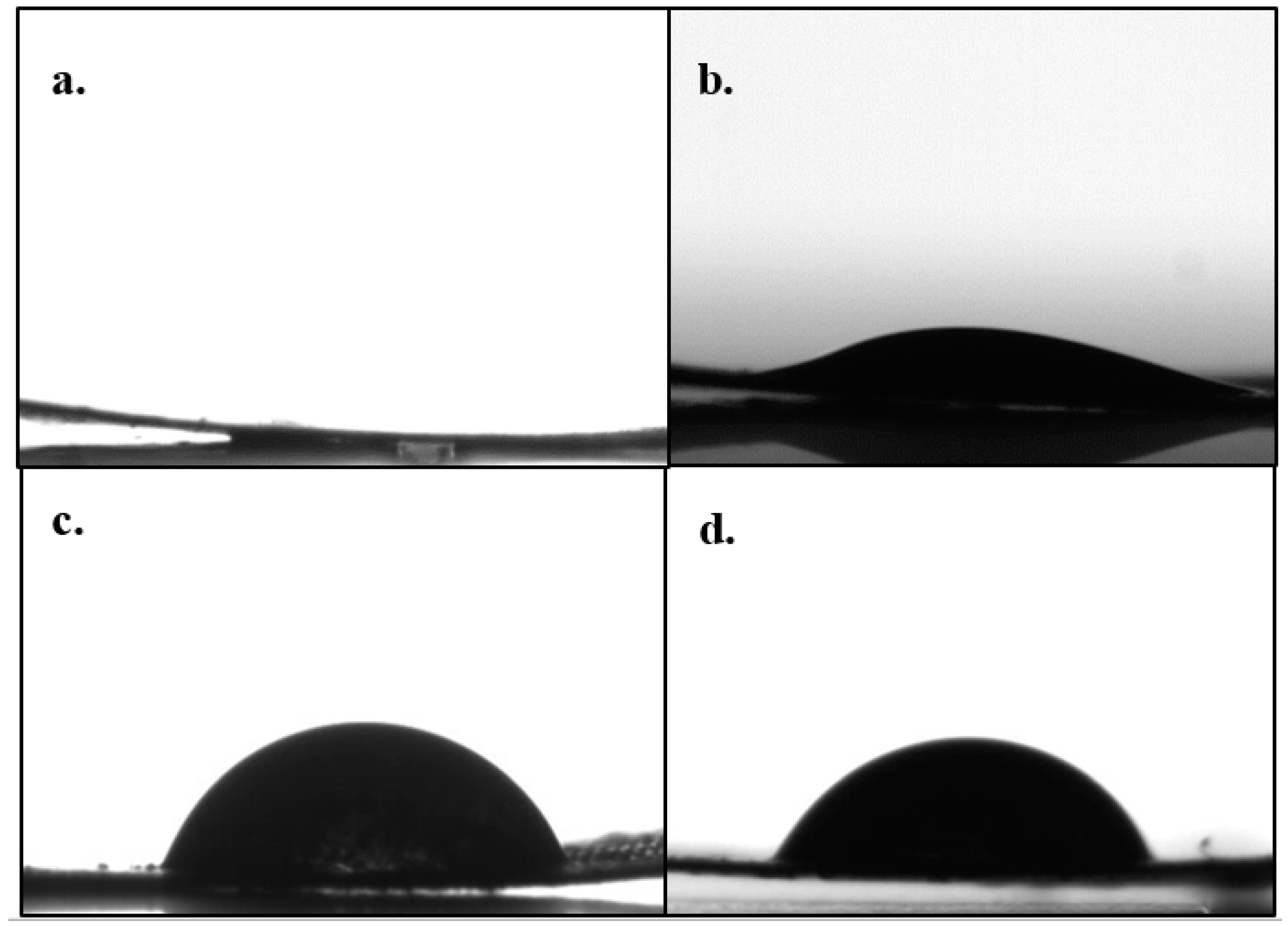 Catalysts 10 00534 g003 Catalysts 10 00534 g003