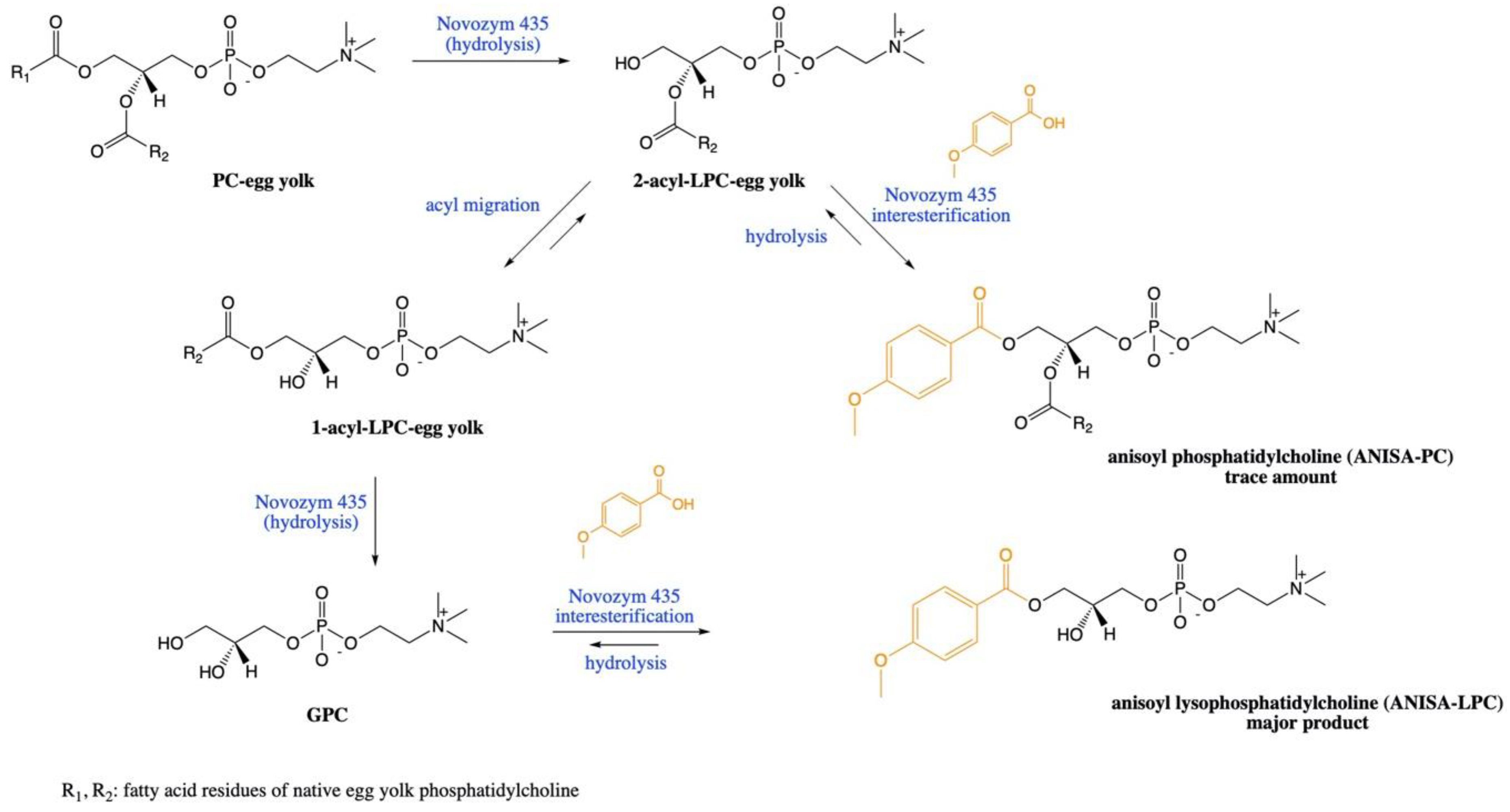 Catalysts 10 00538 sch001 Catalysts 10 00538 sch001