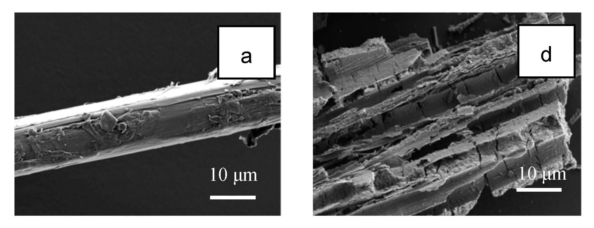 Catalysts 10 00541 g006a Catalysts 10 00541 g006a