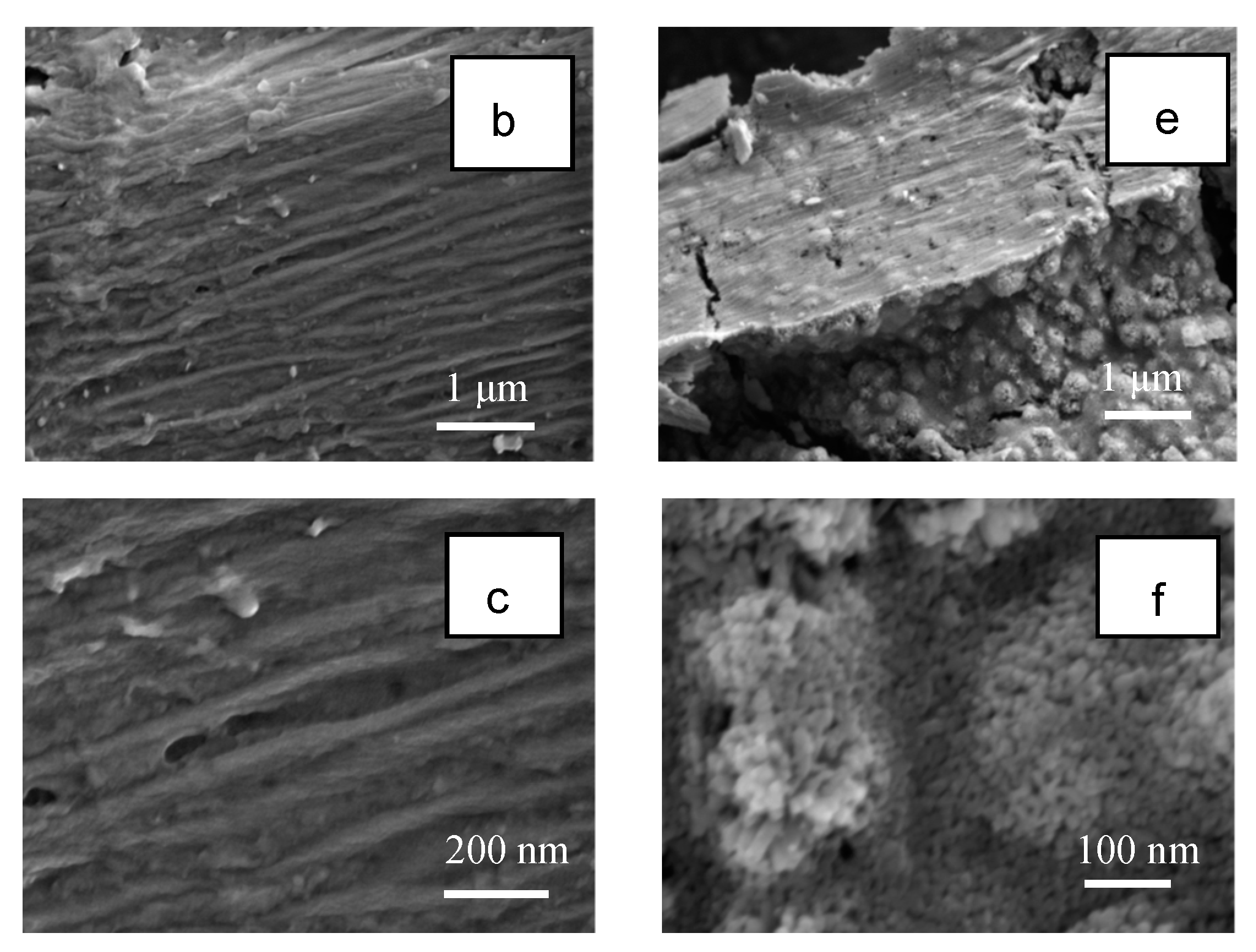 Catalysts 10 00541 g006b Catalysts 10 00541 g006b