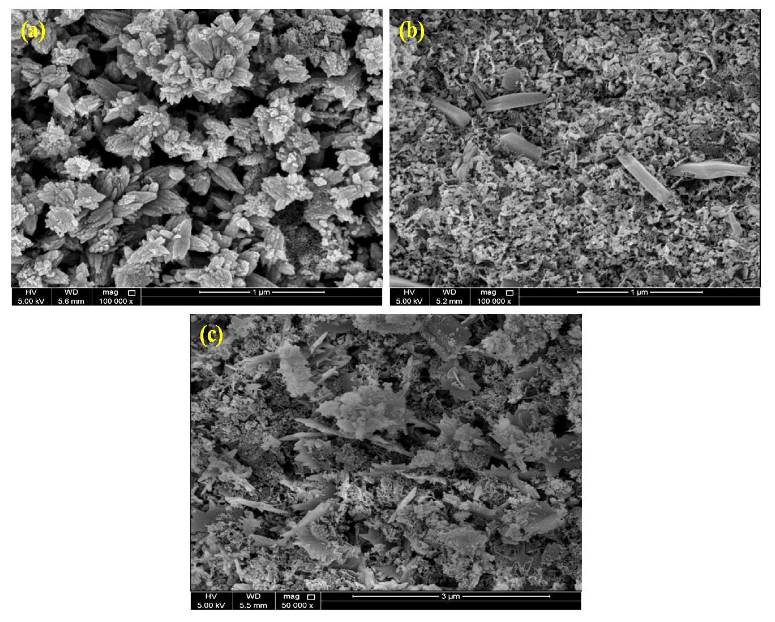 Catalysts 10 00549 g002